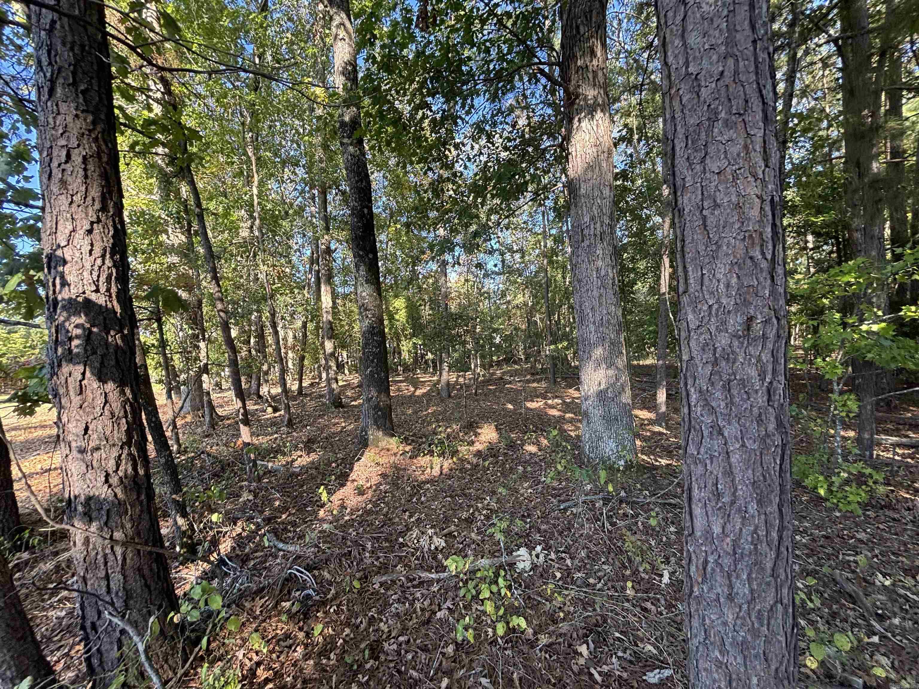 0 Freda Lane (south Lot) Property Photo 6