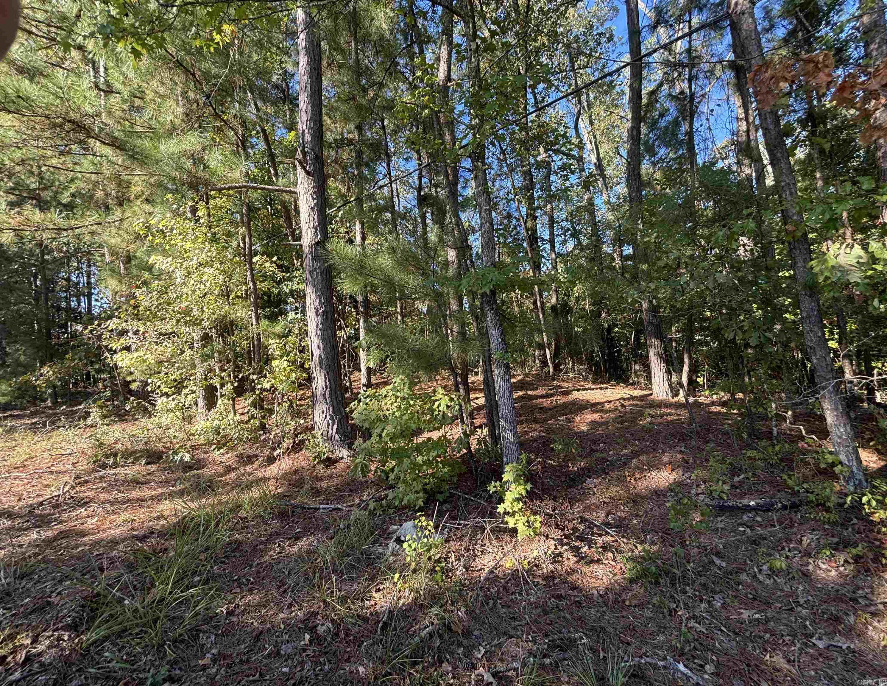 0 Freda Lane (north Lot) Property Photo 3