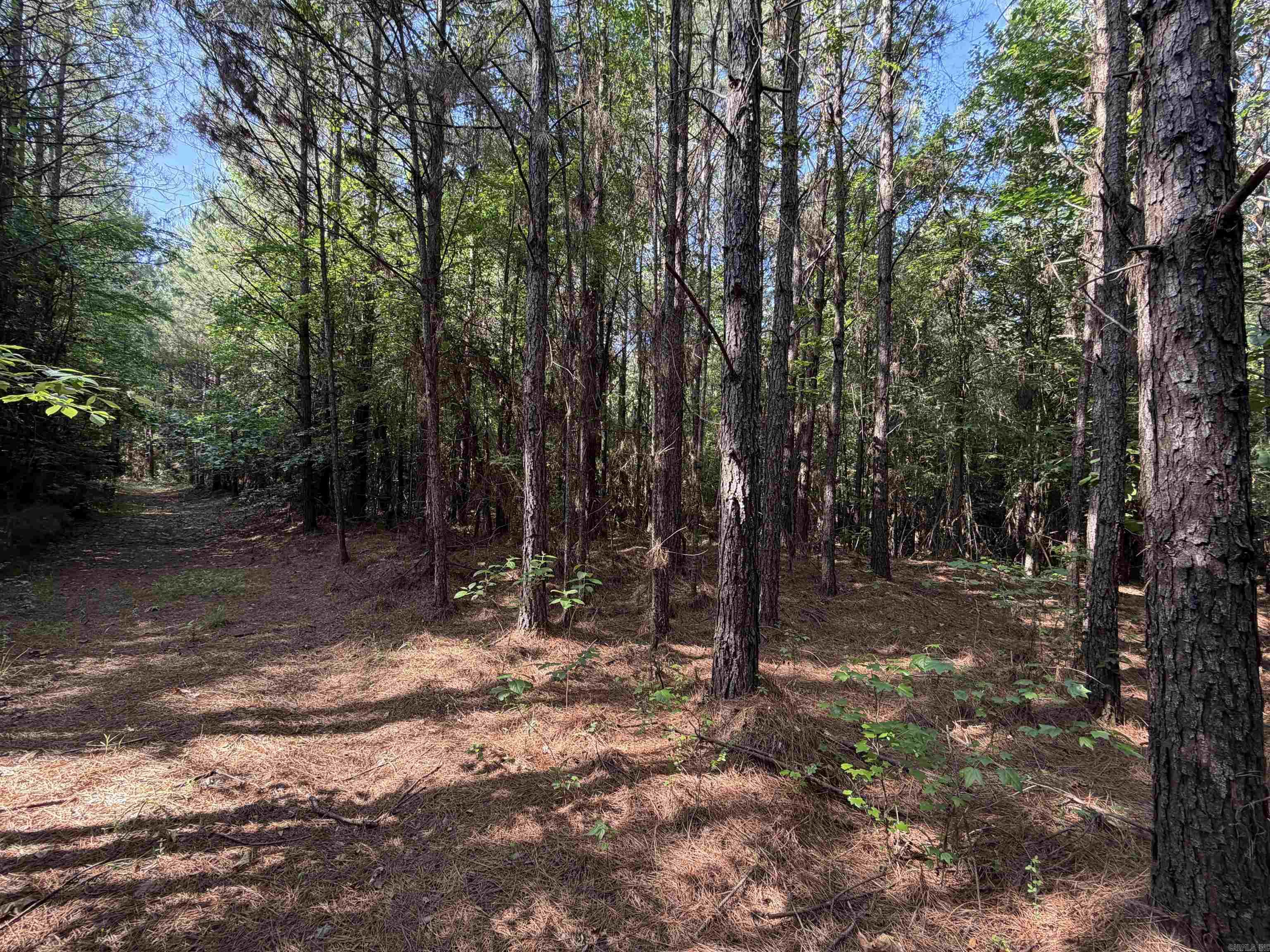 52 Hwy 160 Property Photo 2