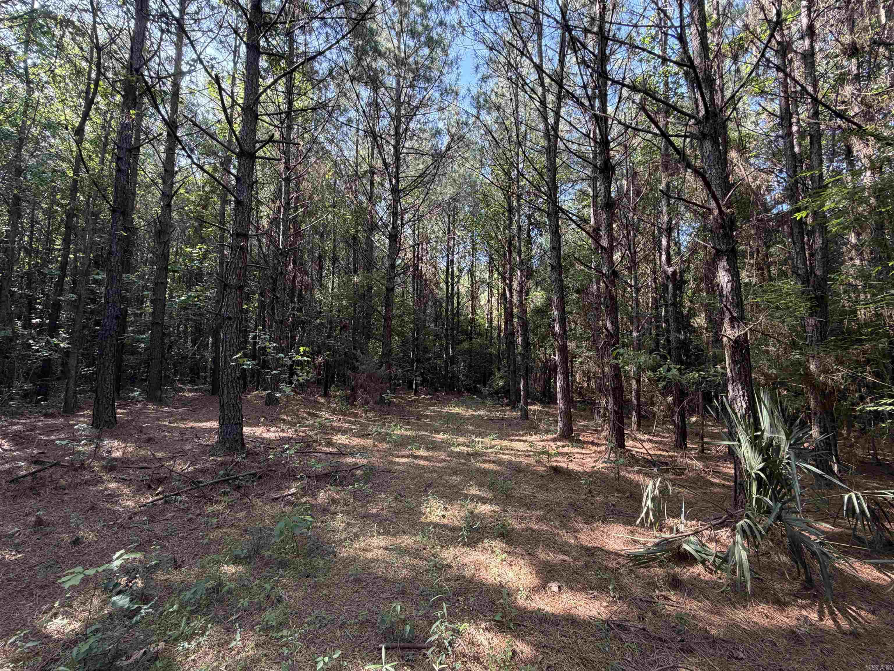 52 Hwy 160 Property Photo 3