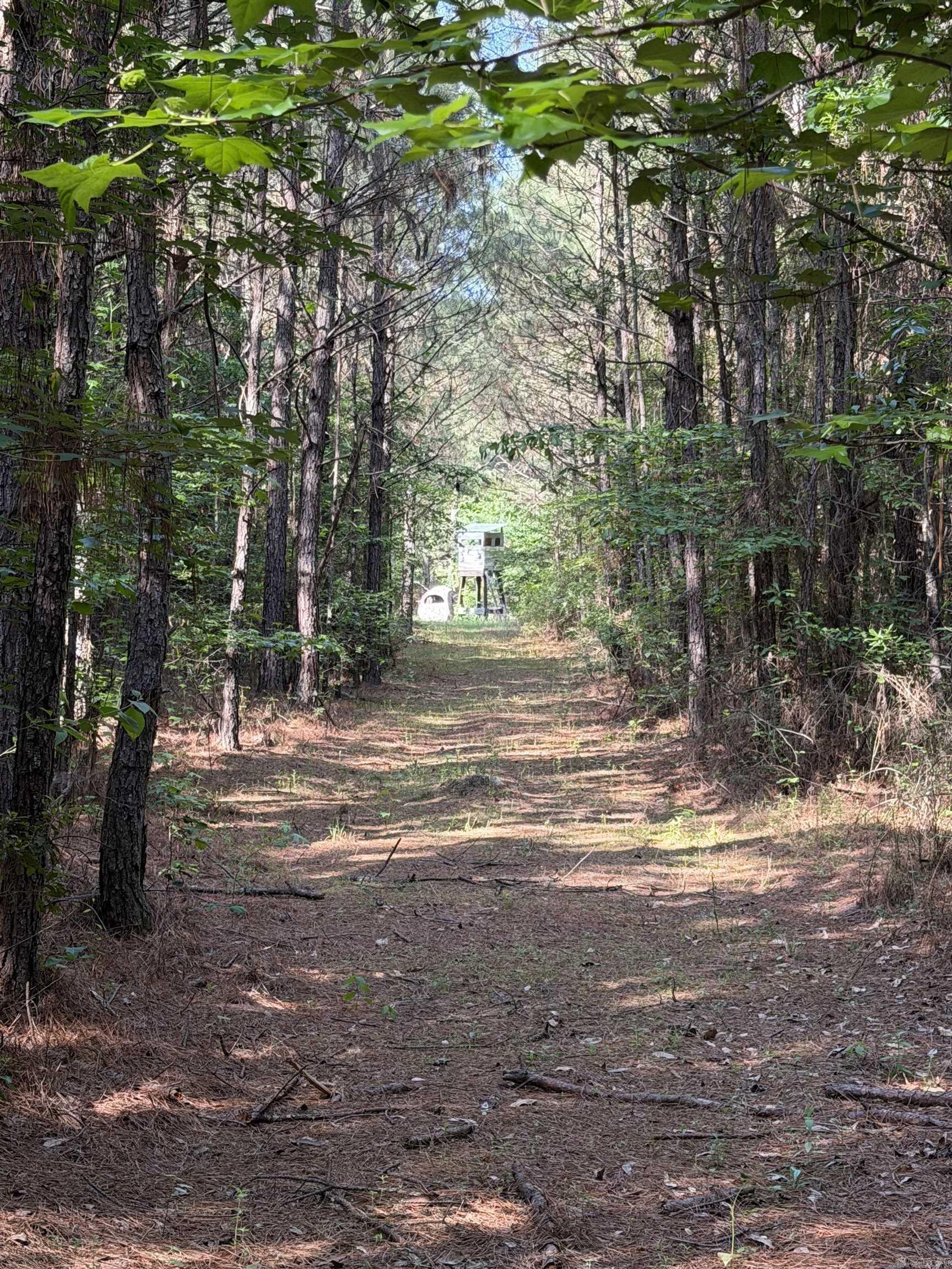 52 Hwy 160 Property Photo 5