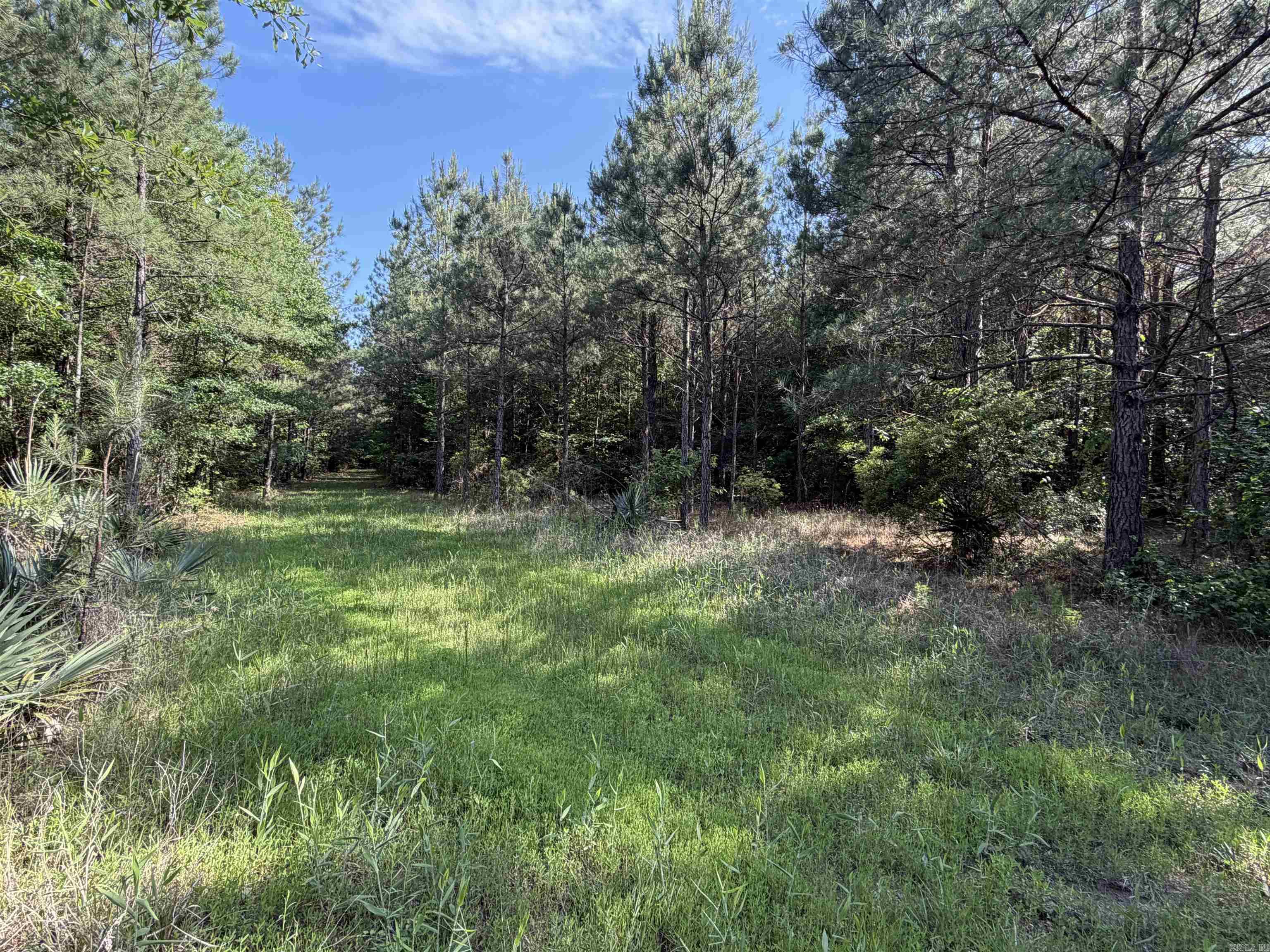 52 Hwy 160 Property Photo 6
