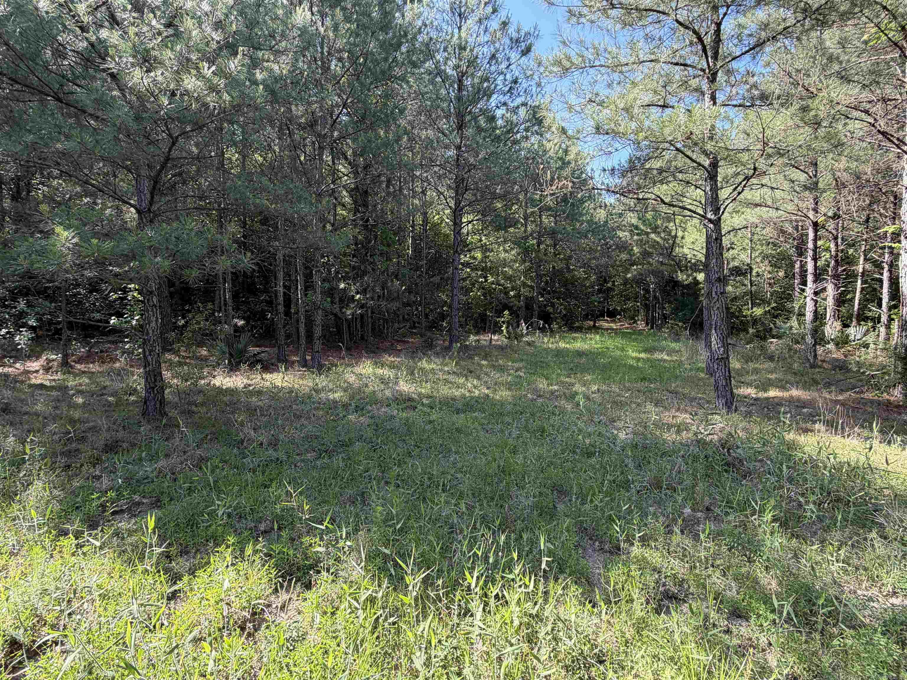 52 Hwy 160 Property Photo 7