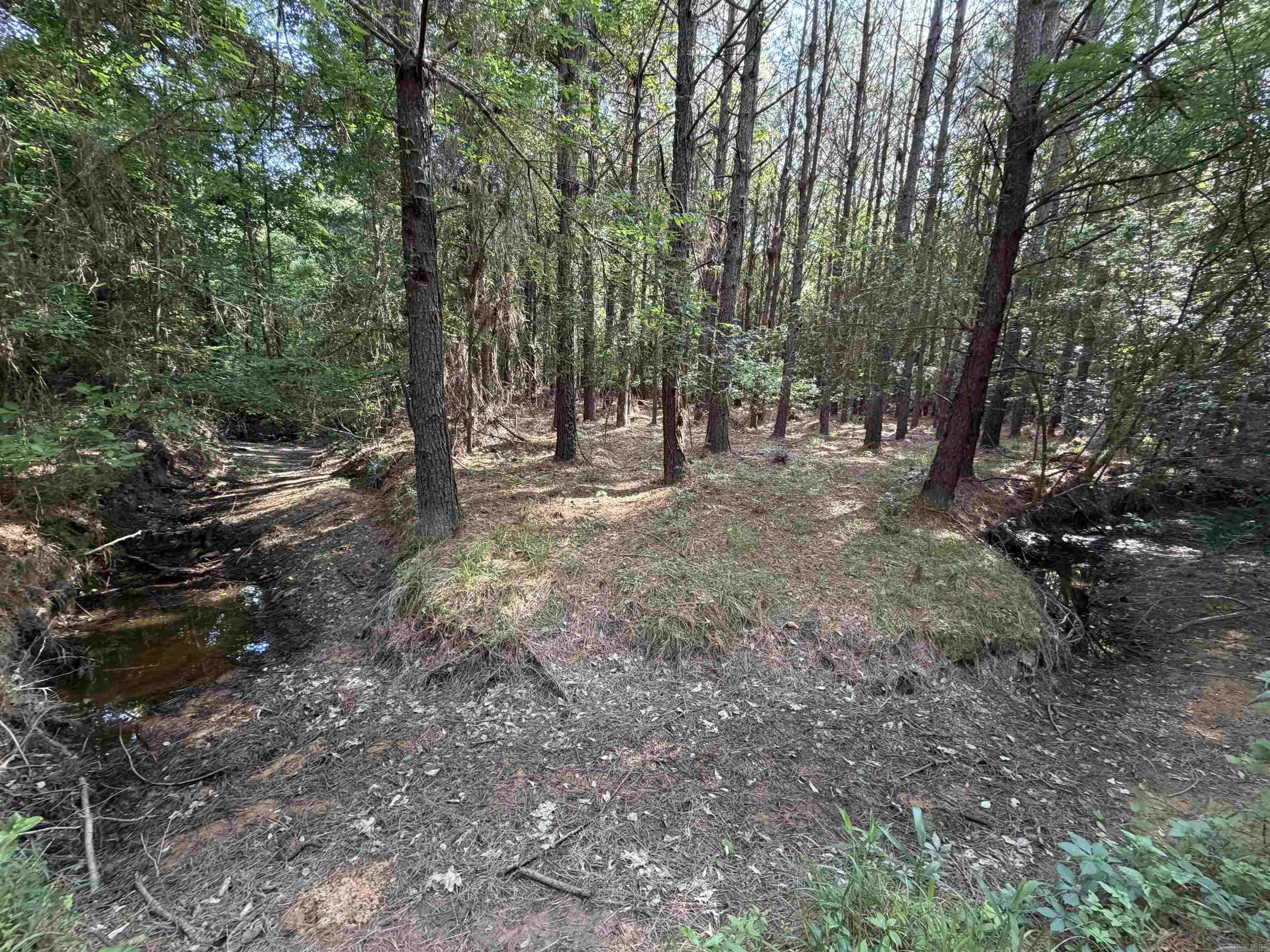 52 Hwy 160 Property Photo 9