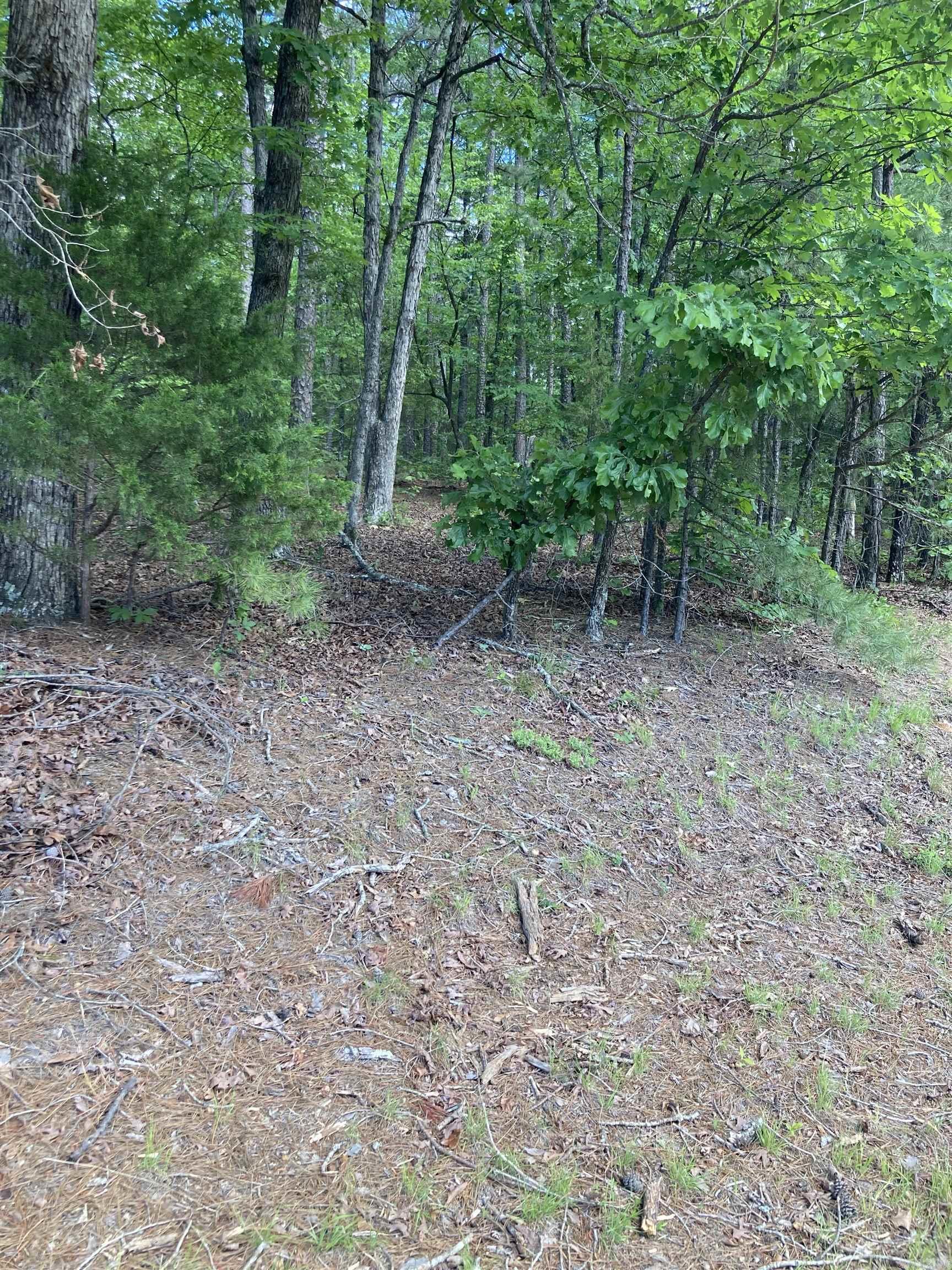 000 Dave Creek Pkwy Property Photo 1