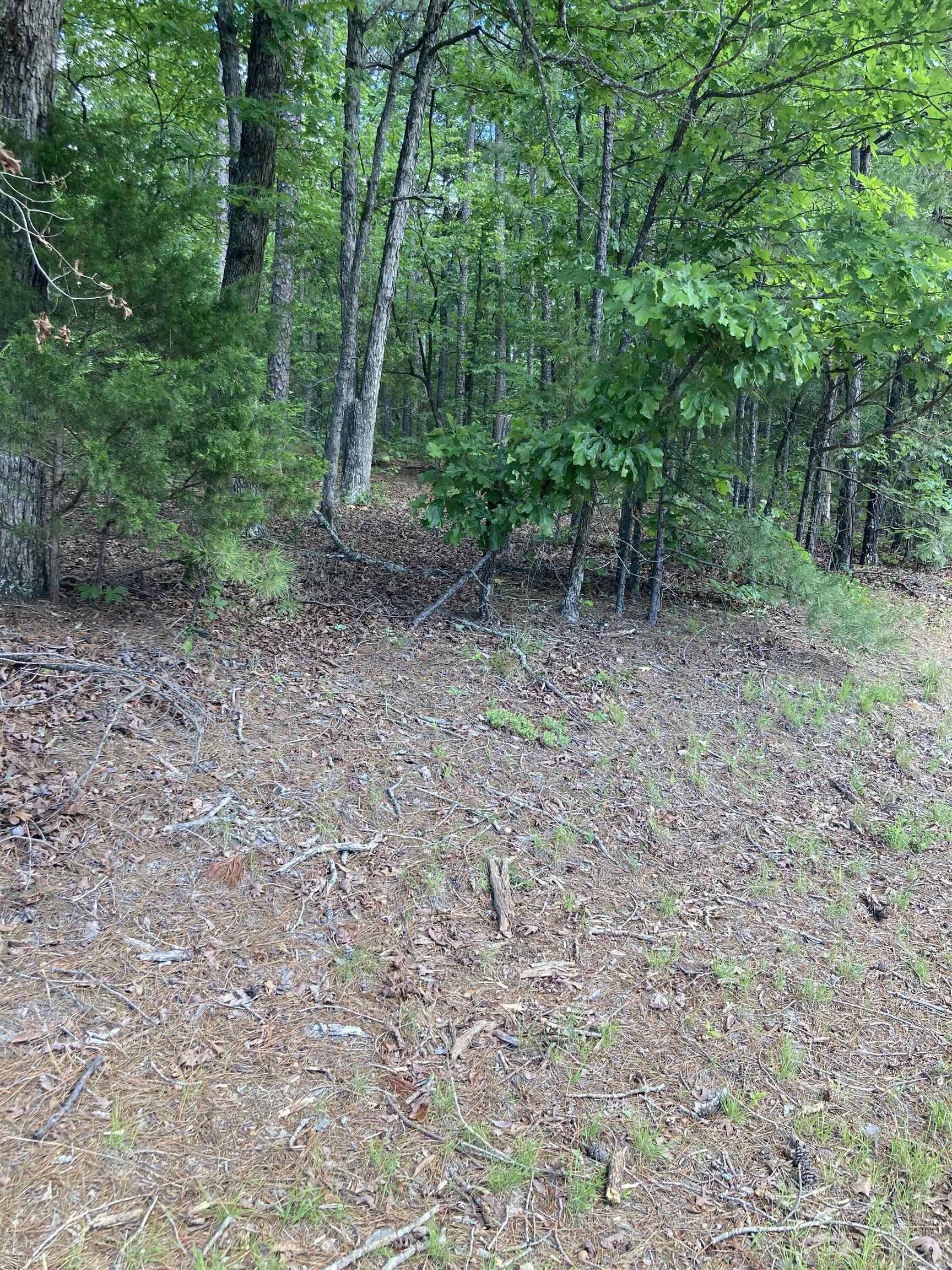 000 Dave Creek Pkwy Property Photo 3