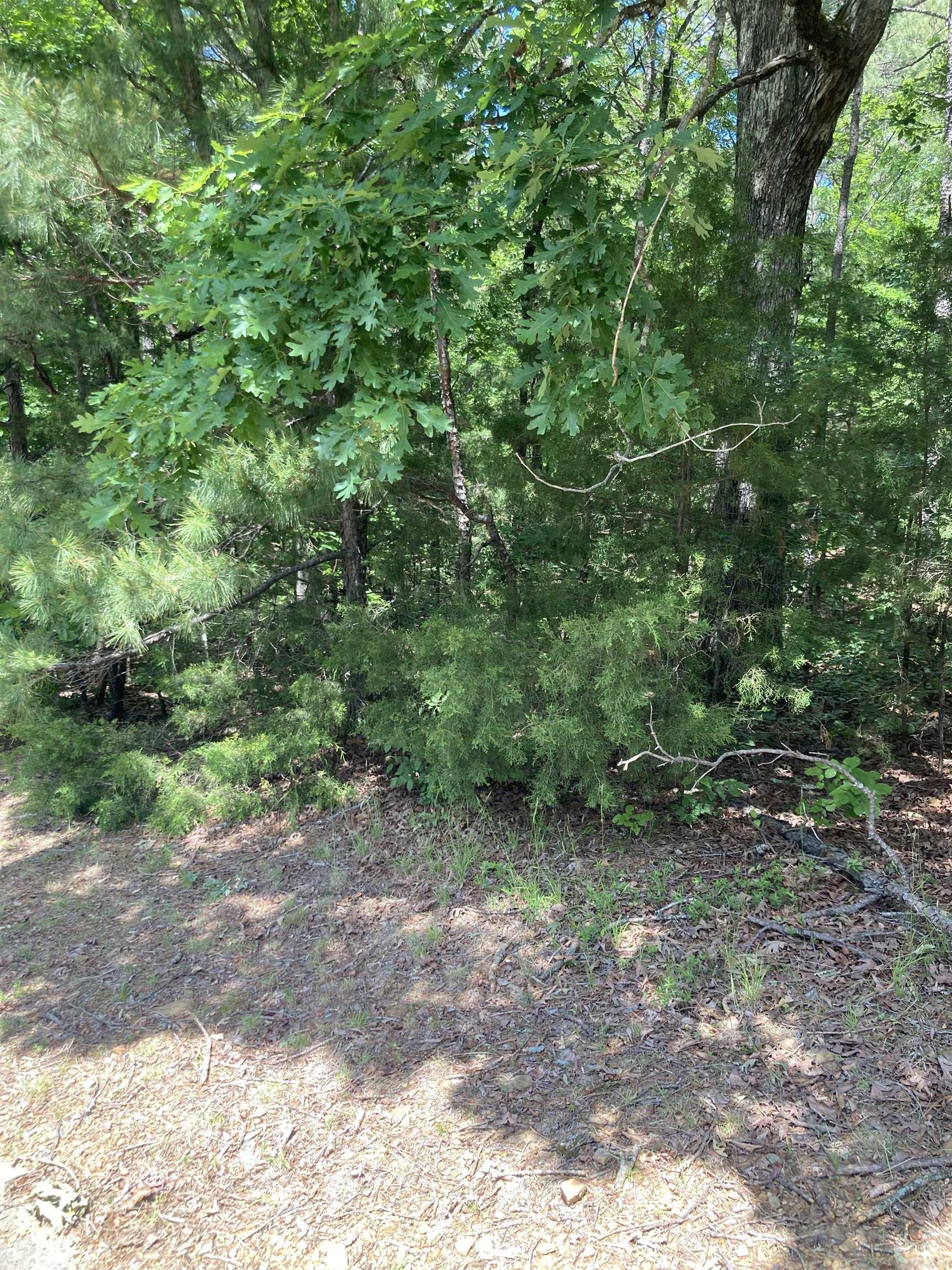 000 Dave Creek Pkwy Property Photo 4
