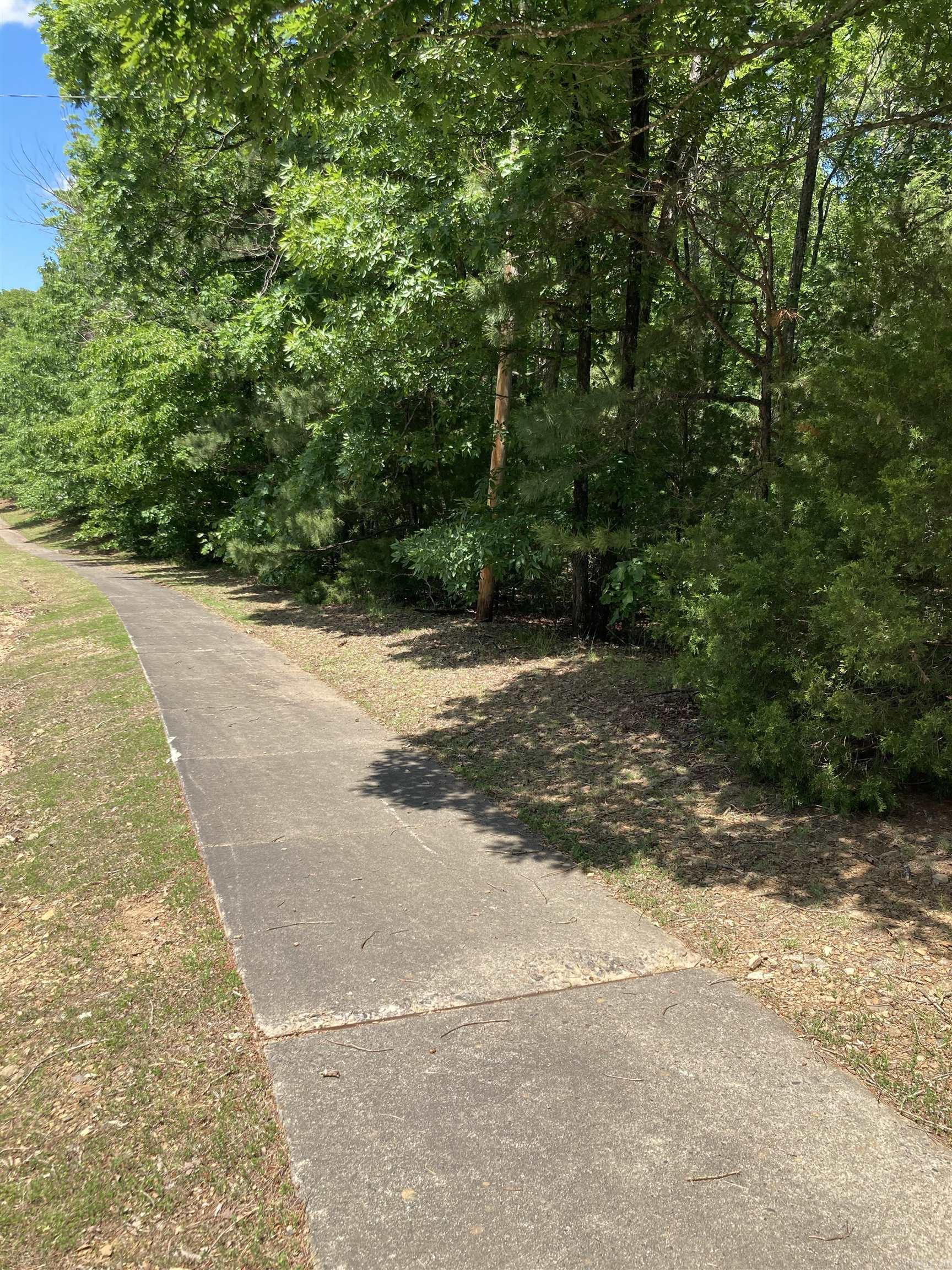 000 Dave Creek Pkwy Property Photo 10