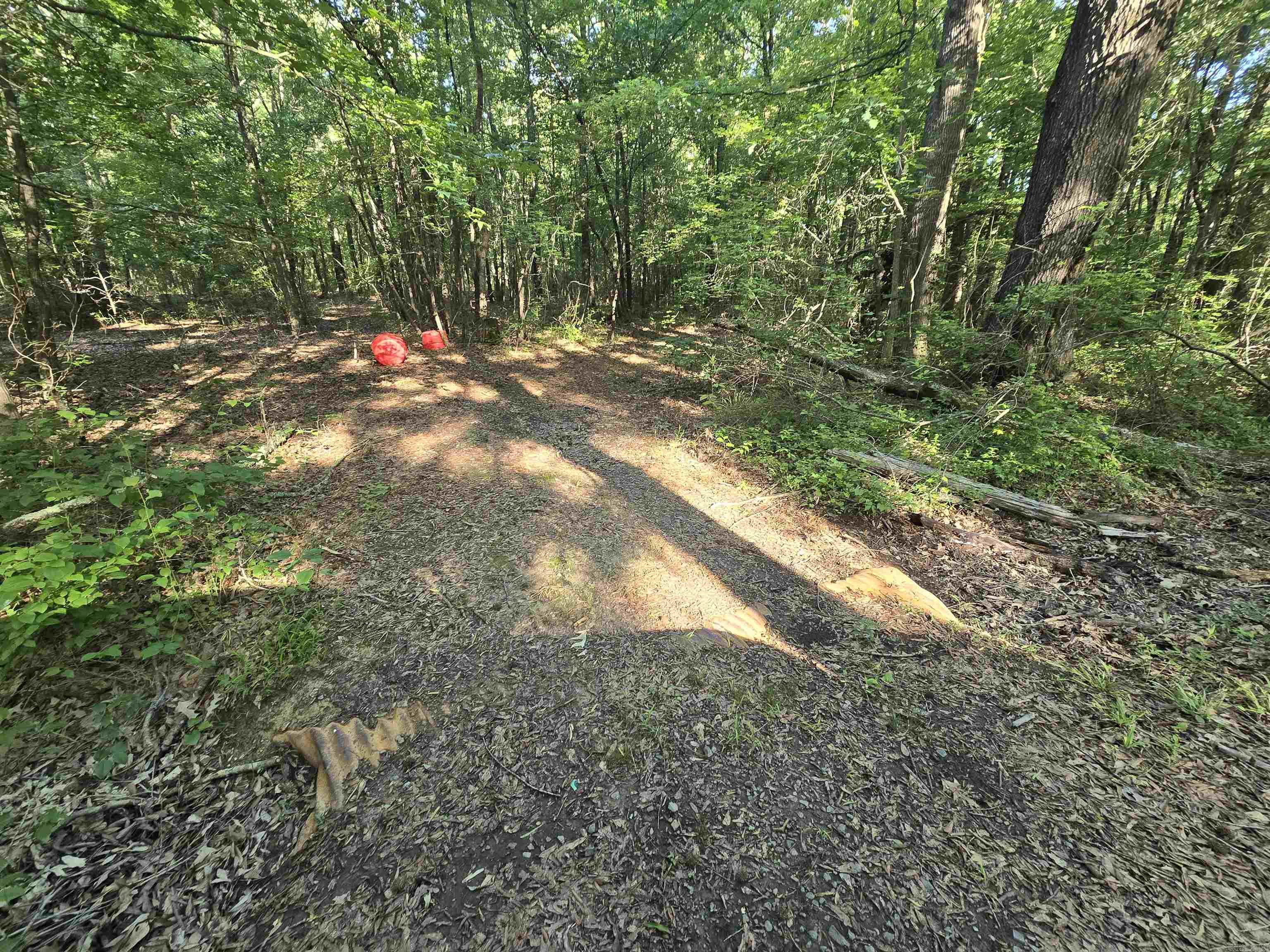 000 Cypress Lake Road Property Photo 2