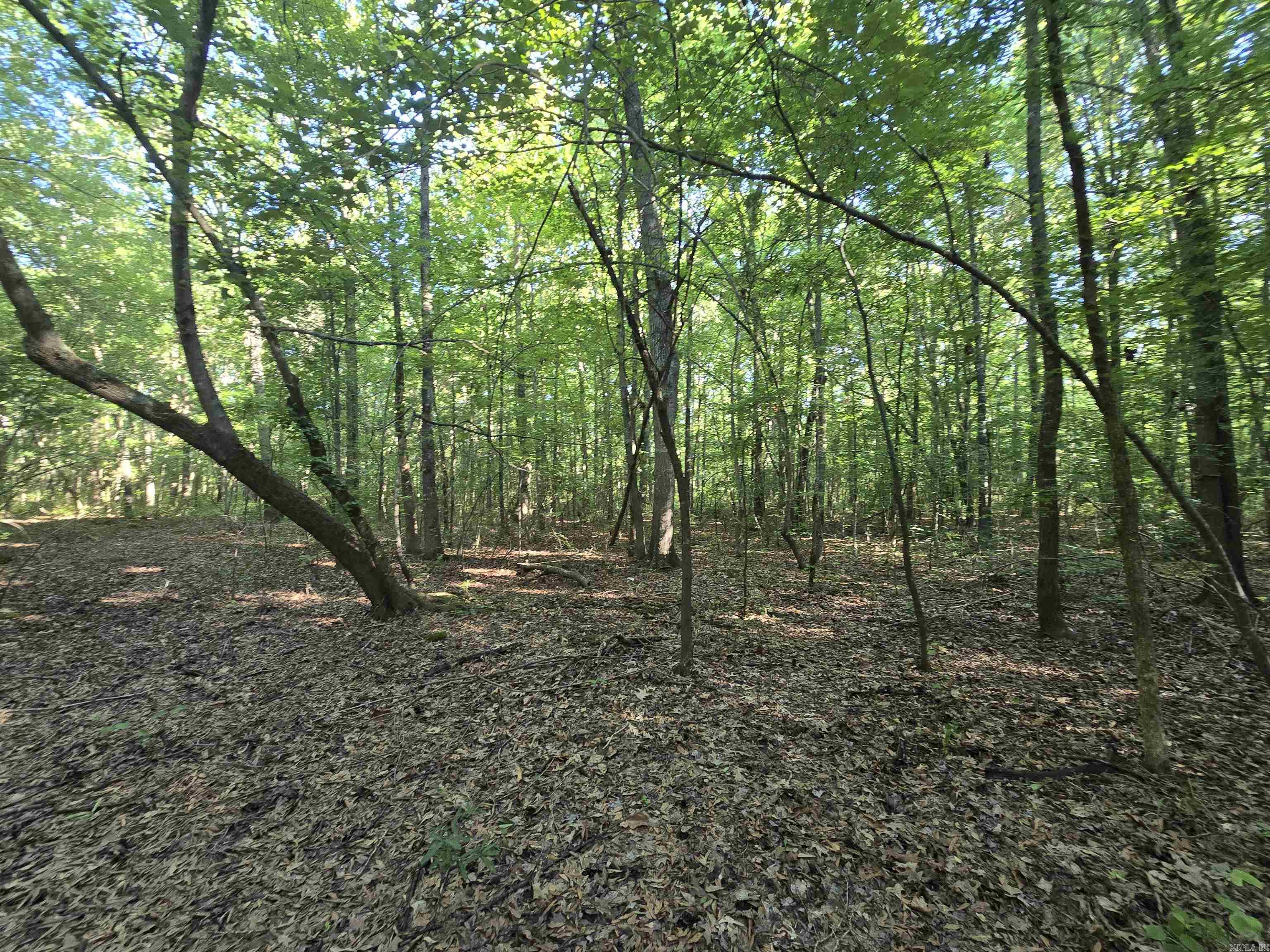 000 Cypress Lake Road Property Photo 3