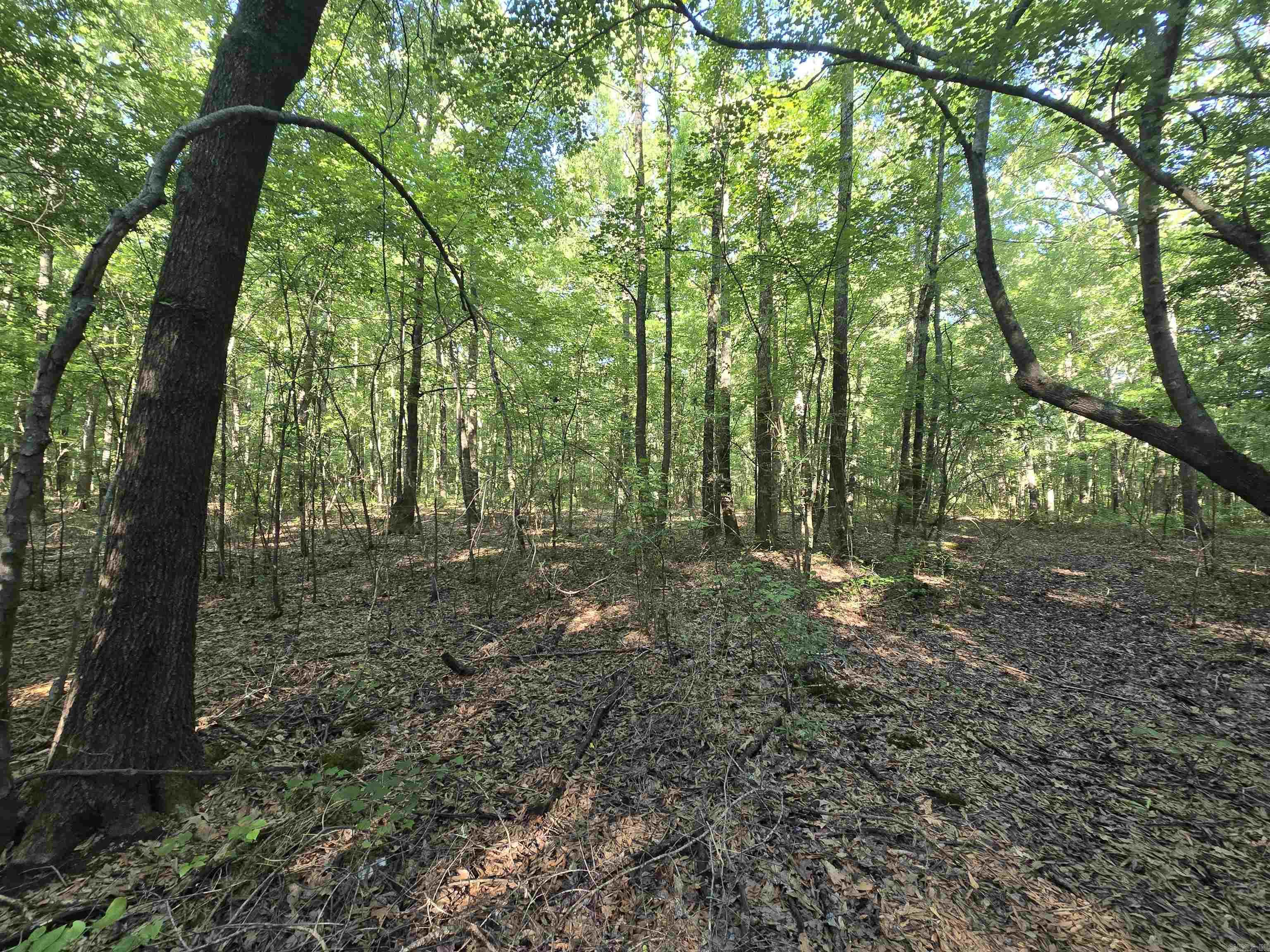 000 Cypress Lake Road Property Photo 5