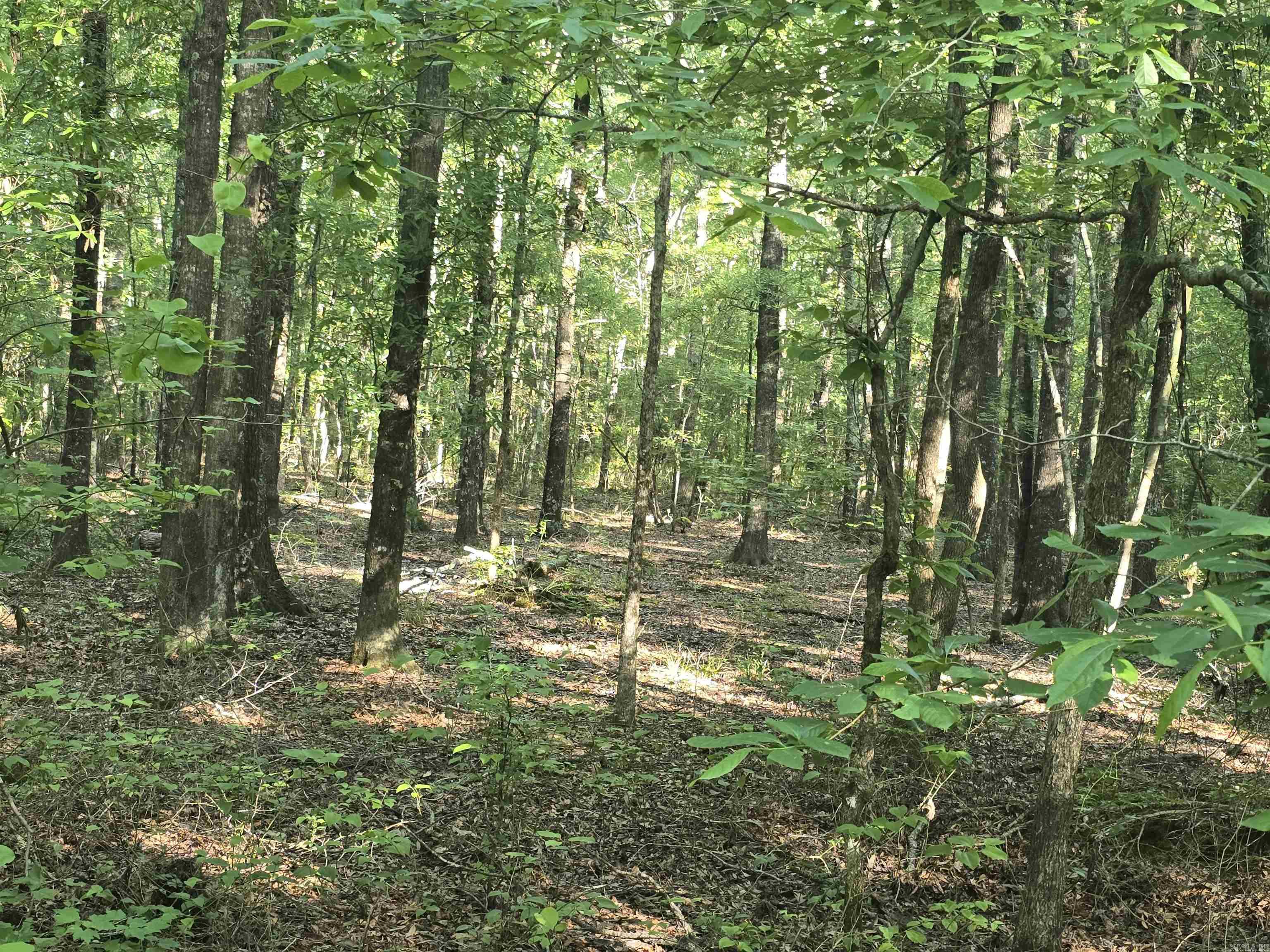 000 Cypress Lake Road Property Photo 7