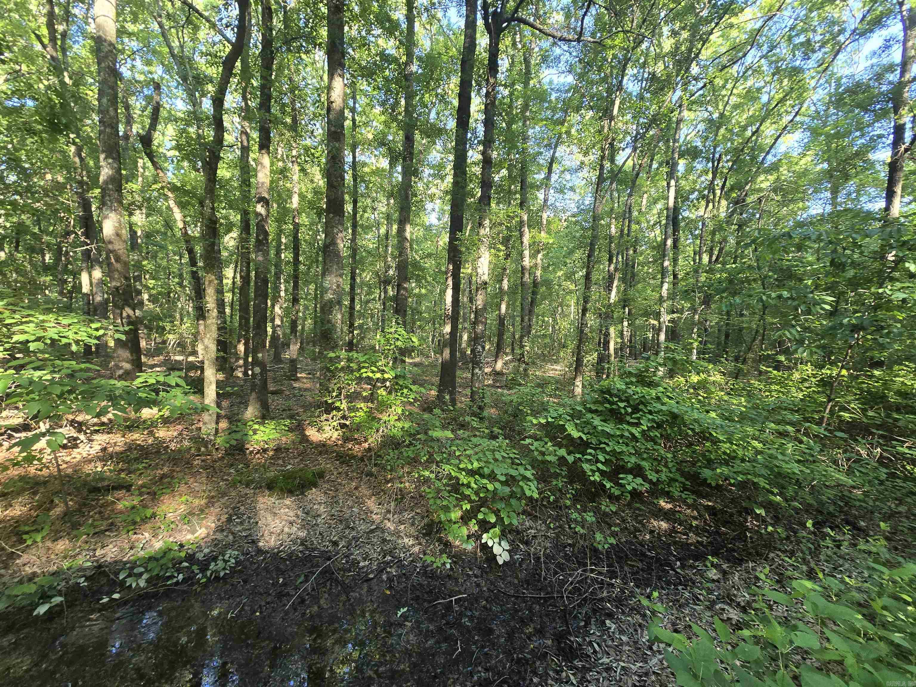 000 Cypress Lake Road Property Photo 8