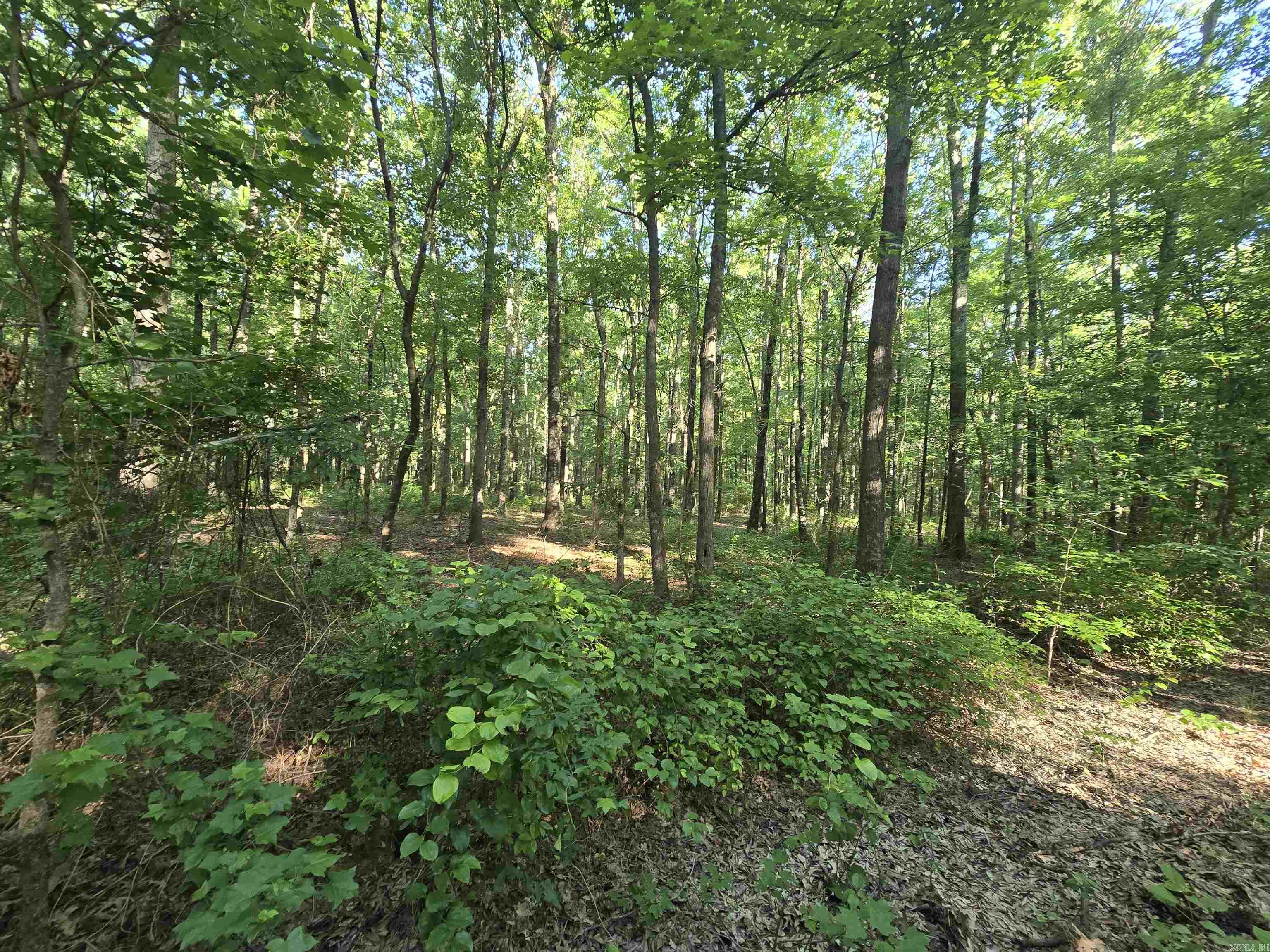 000 Cypress Lake Road Property Photo 9