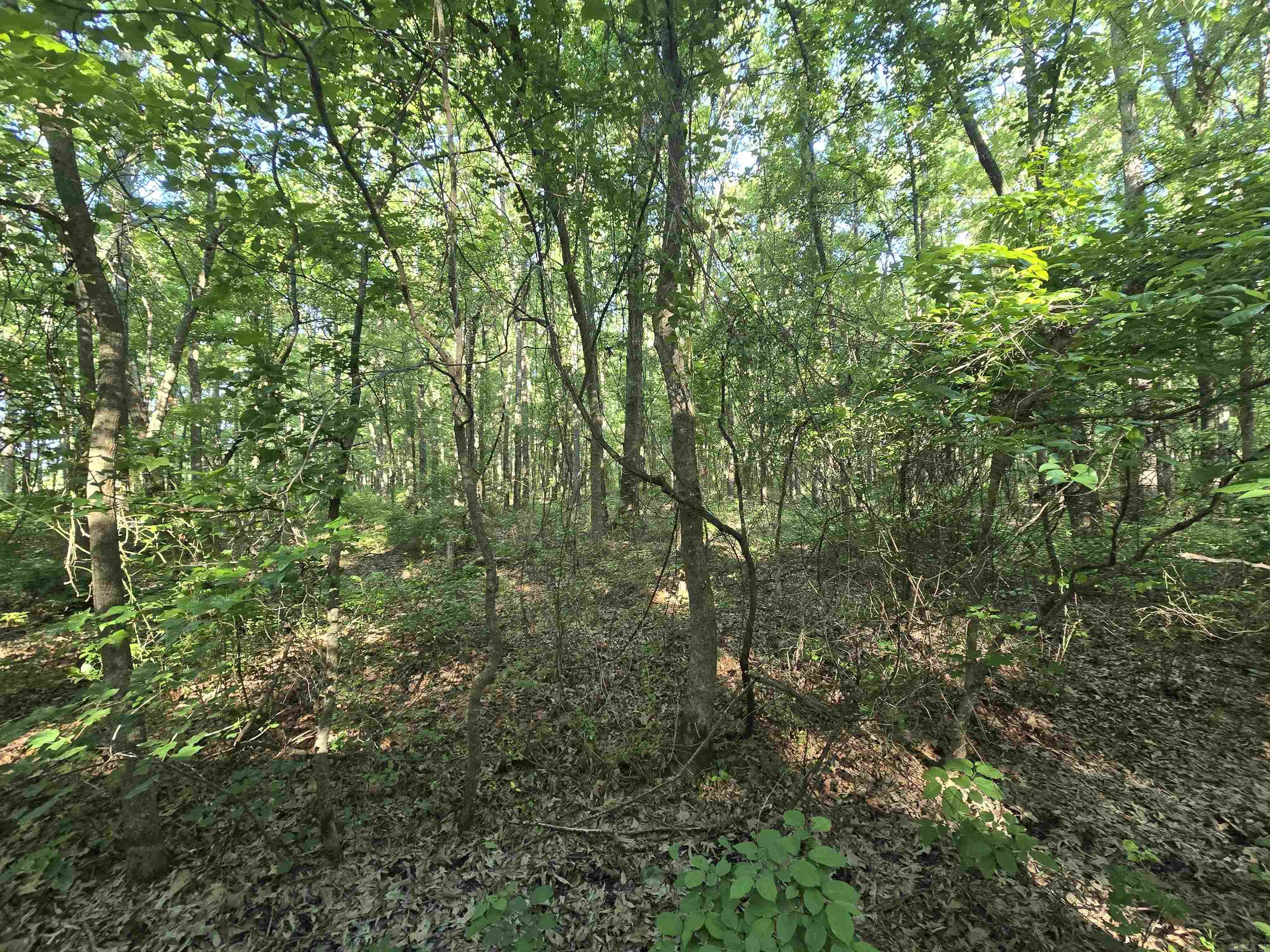 000 Cypress Lake Road Property Photo 10