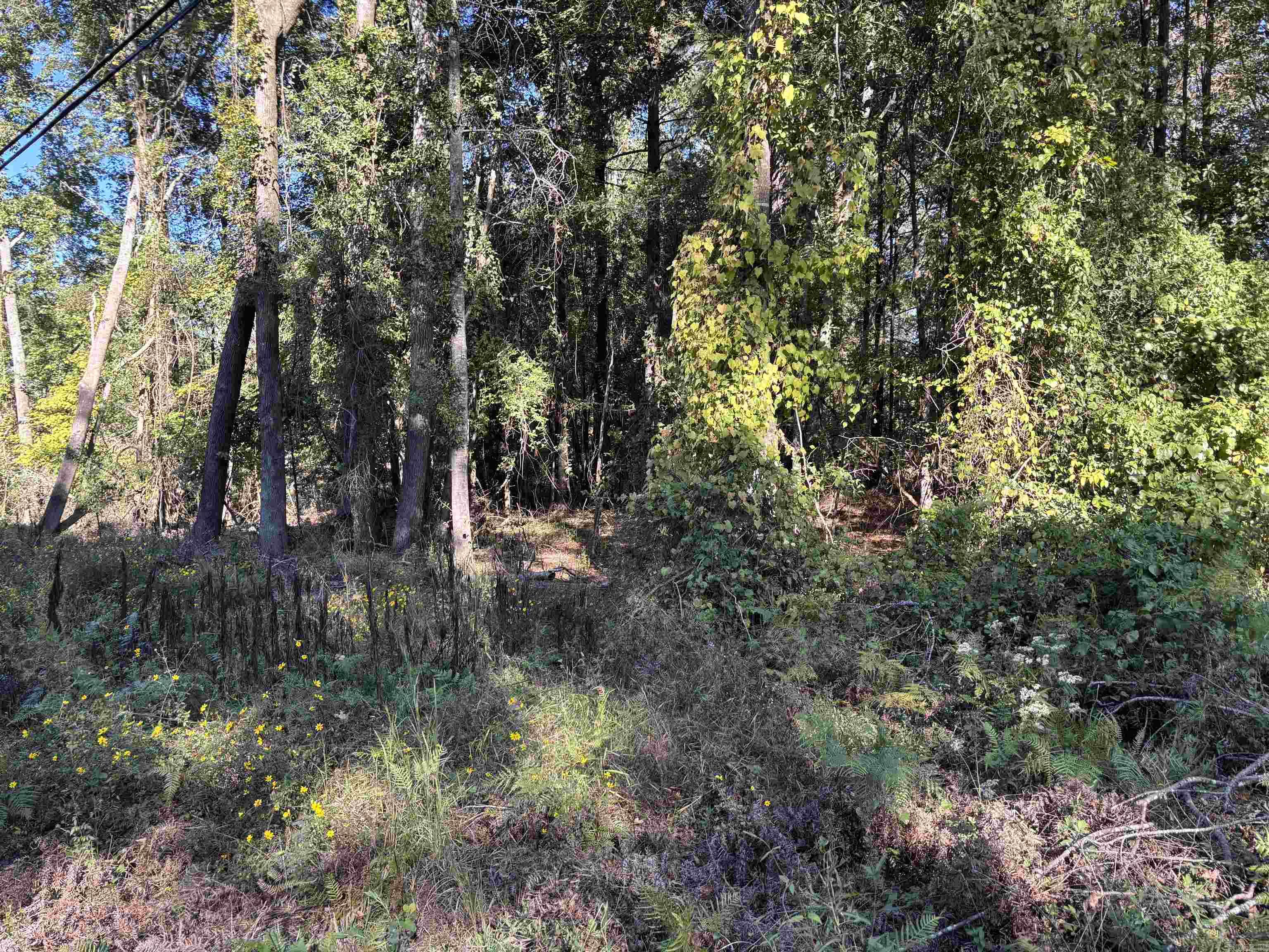 0 Gary Lane Property Photo 1