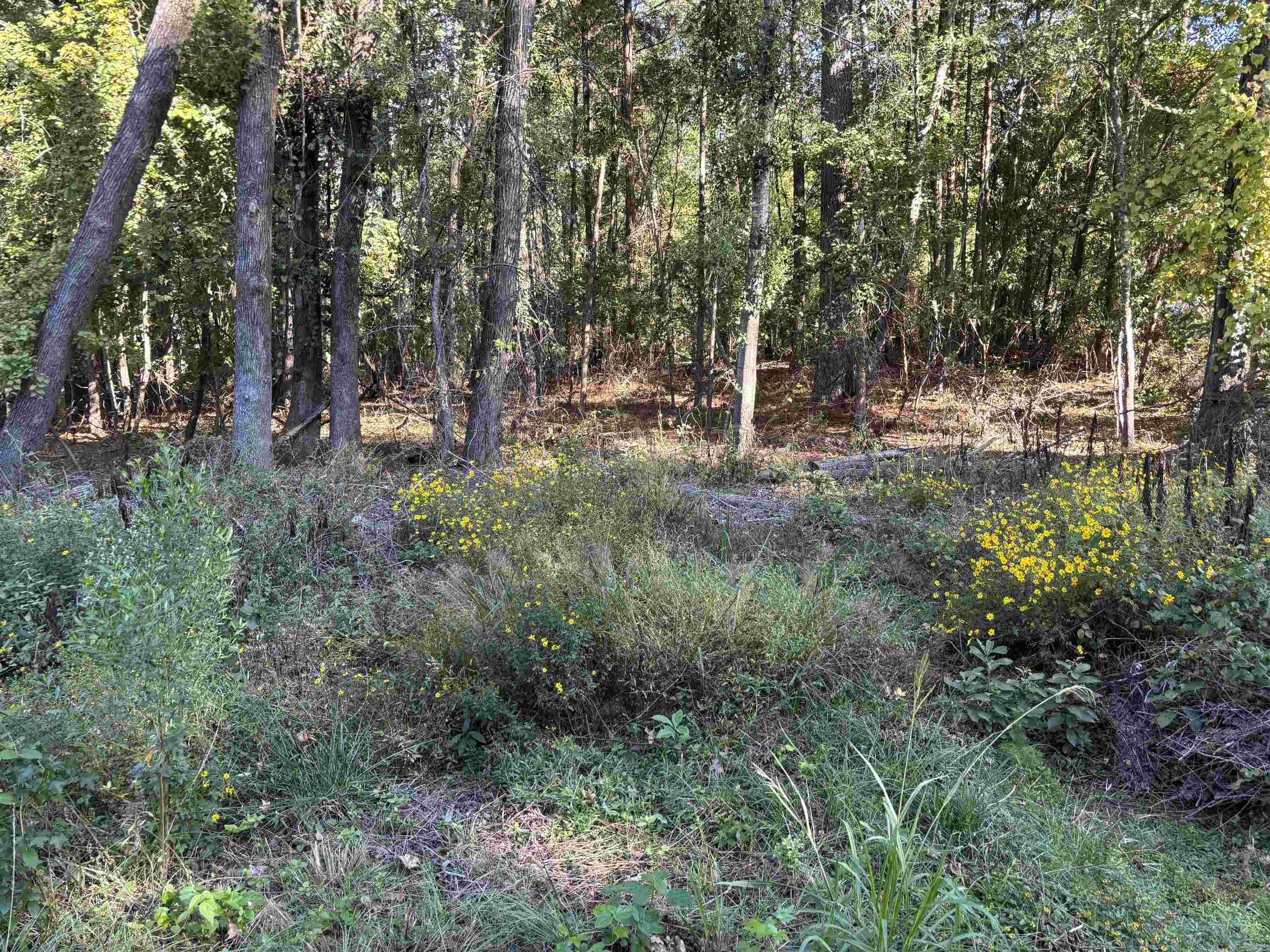 0 Gary Lane Property Photo 2