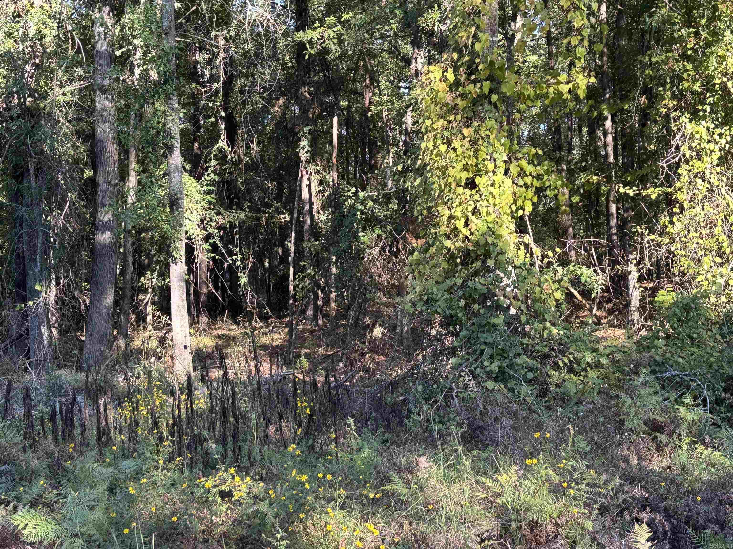 0 Gary Lane Property Photo 3