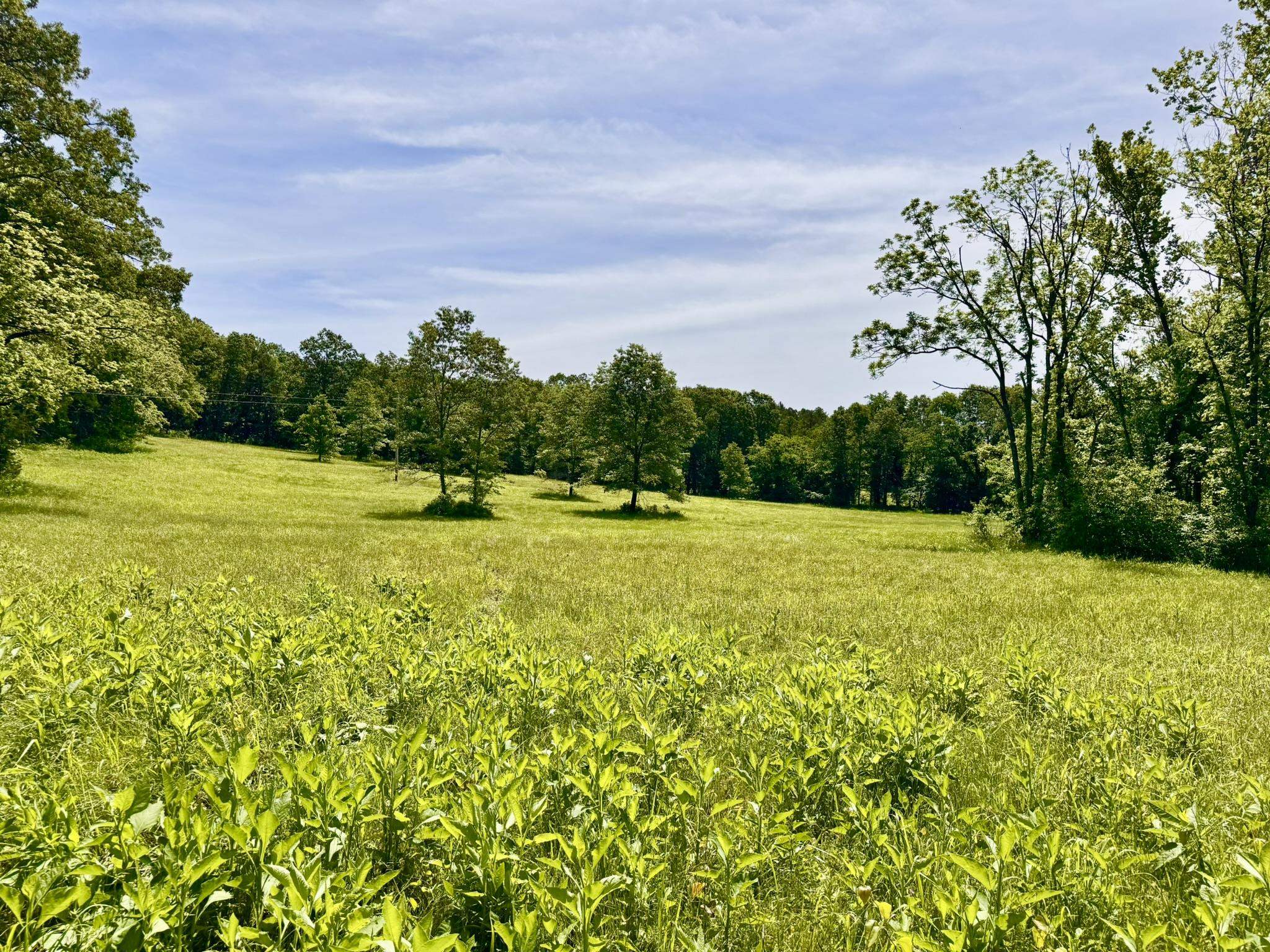 18 Sharp Lane Property Photo 29