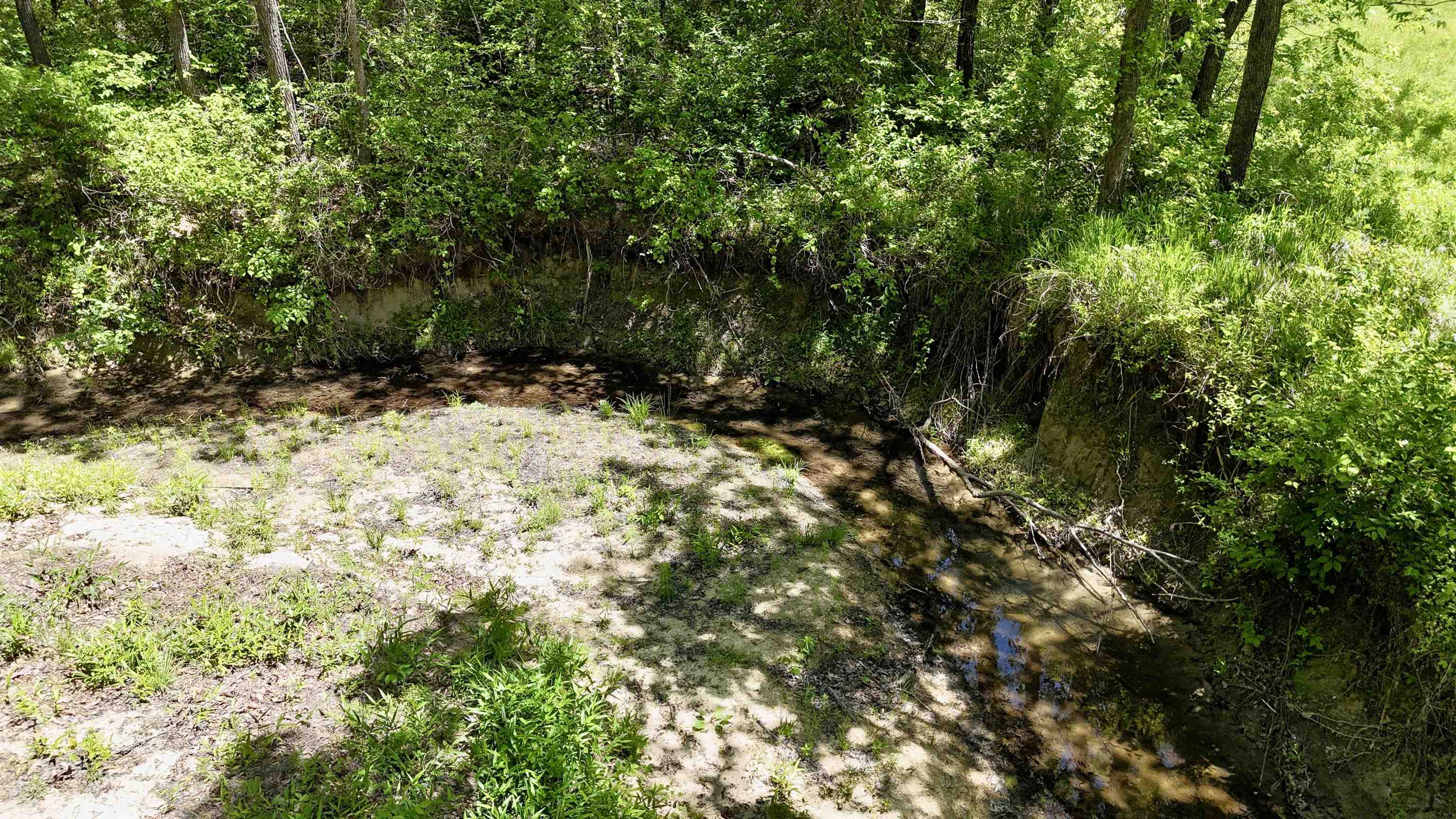 18 Sharp Lane Property Photo 37