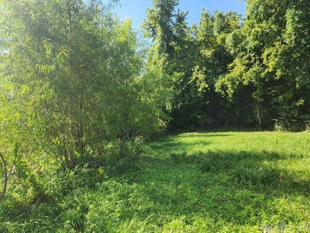 2980 Harrison Property Photo 4