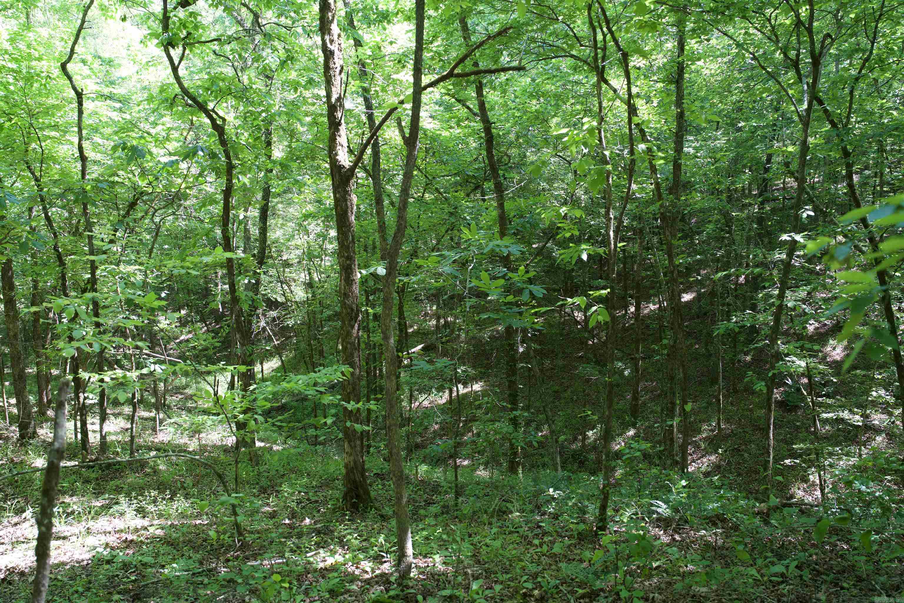 000 Obar Lane Property Photo 13