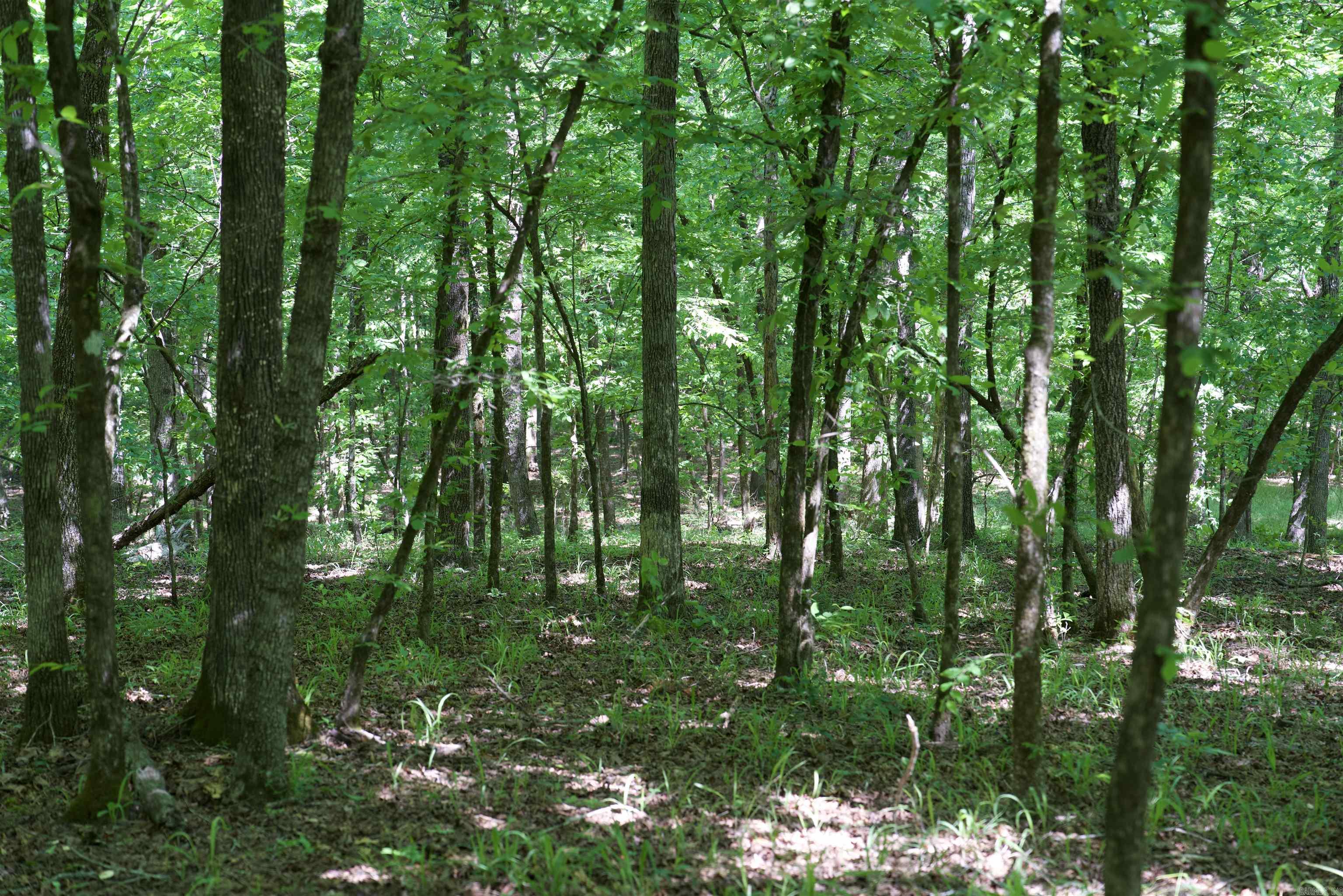 000 Obar Lane Property Photo 16