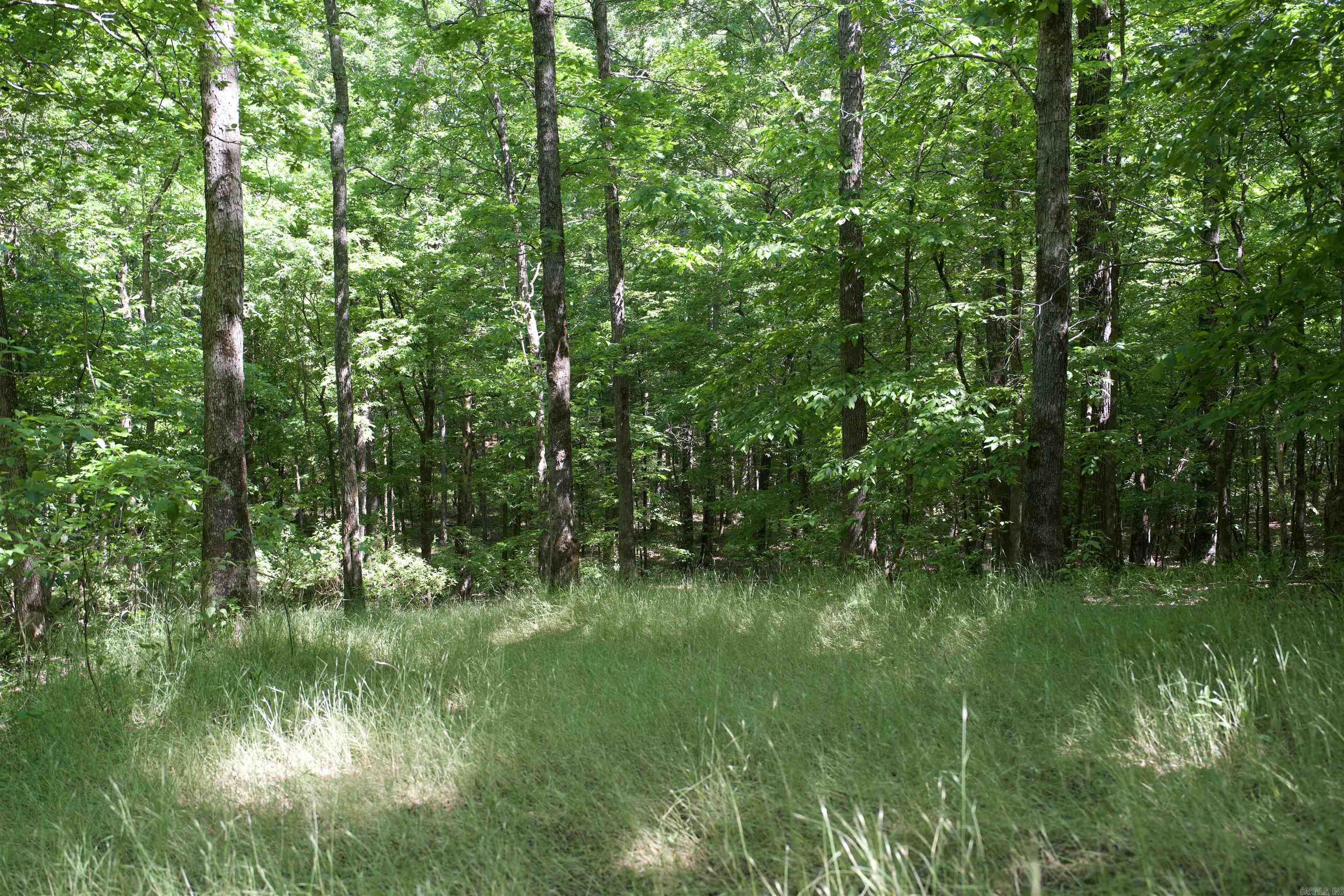 000 Obar Lane Property Photo 19