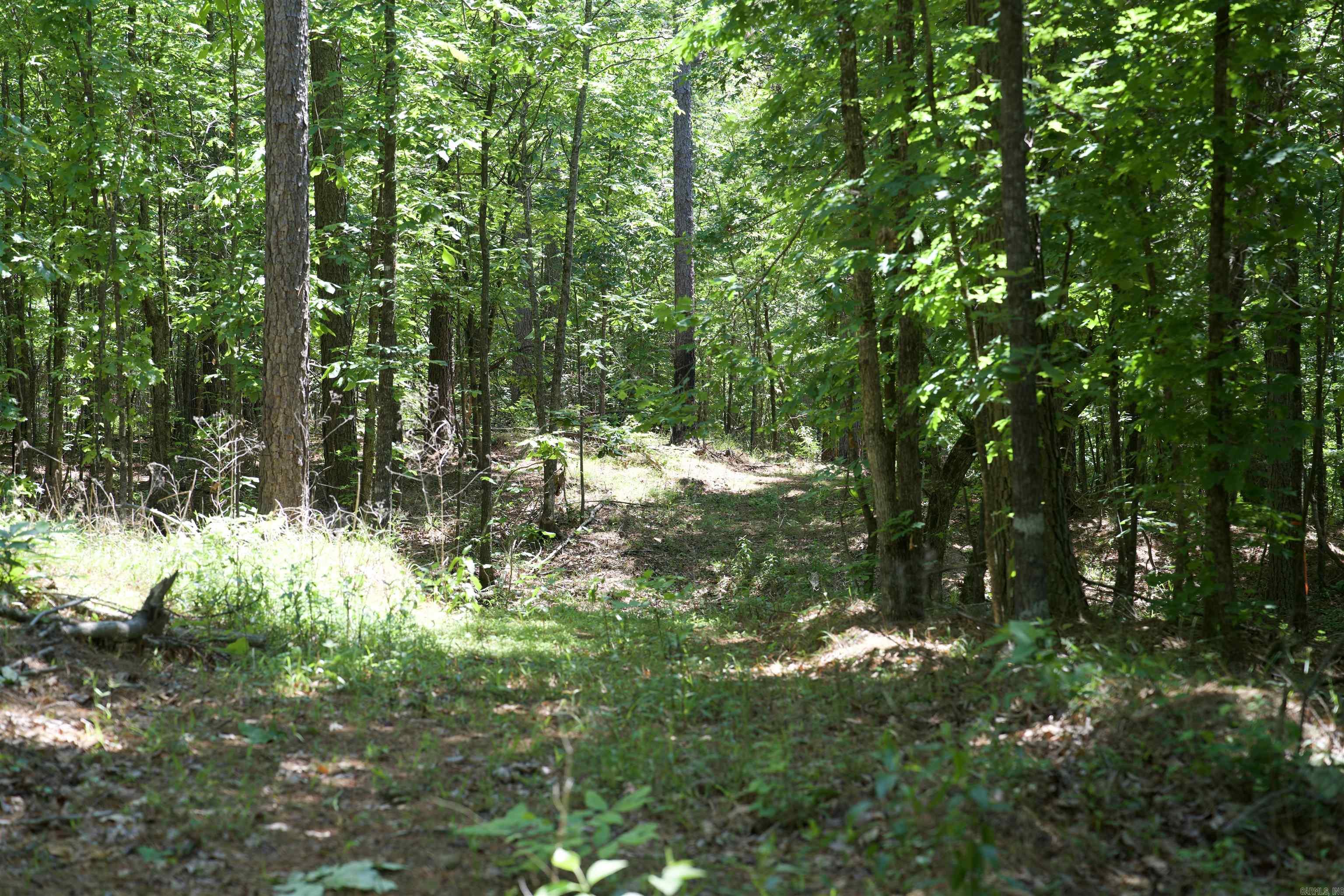 000 Obar Lane Property Photo 23