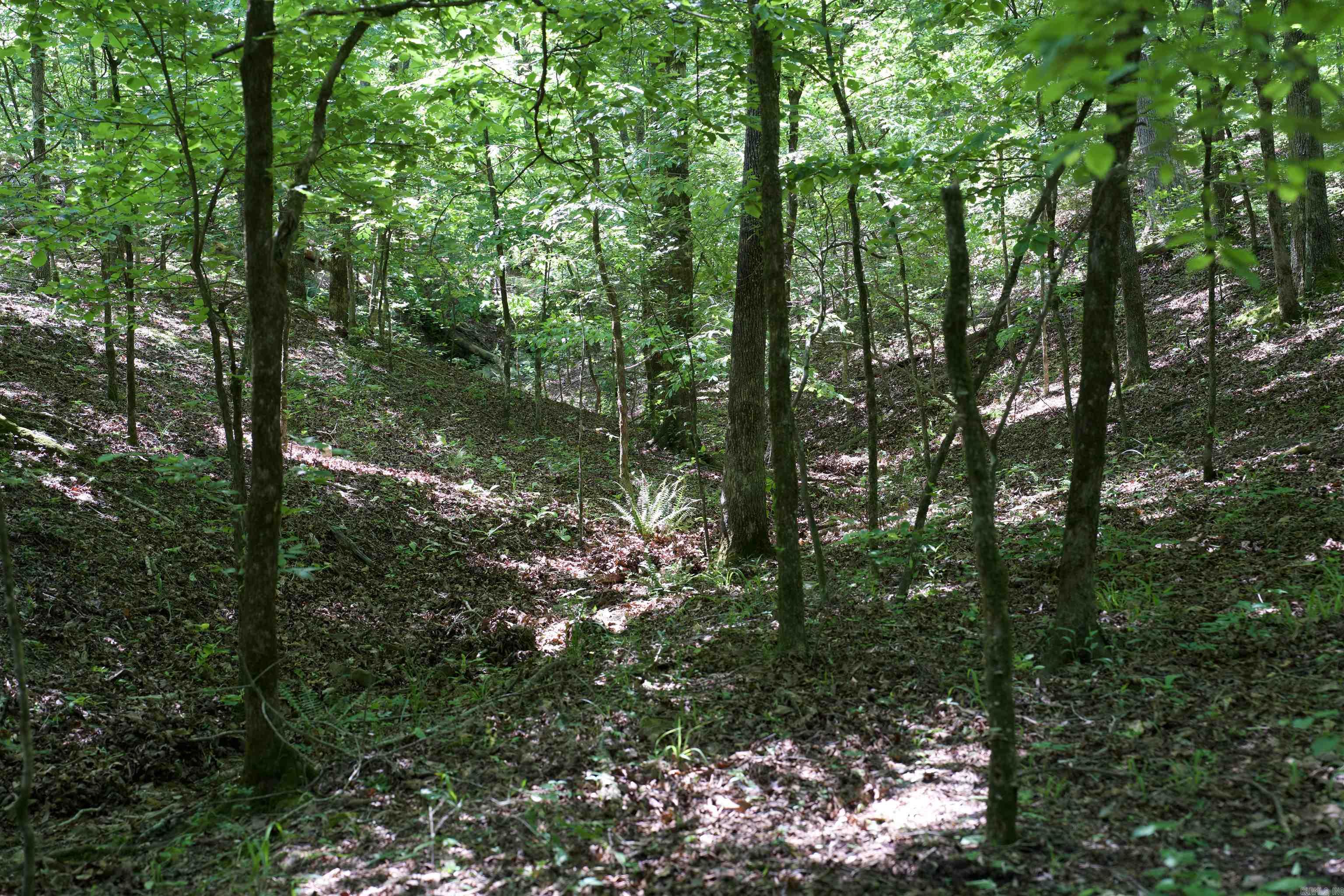 000 Obar Lane Property Photo 27