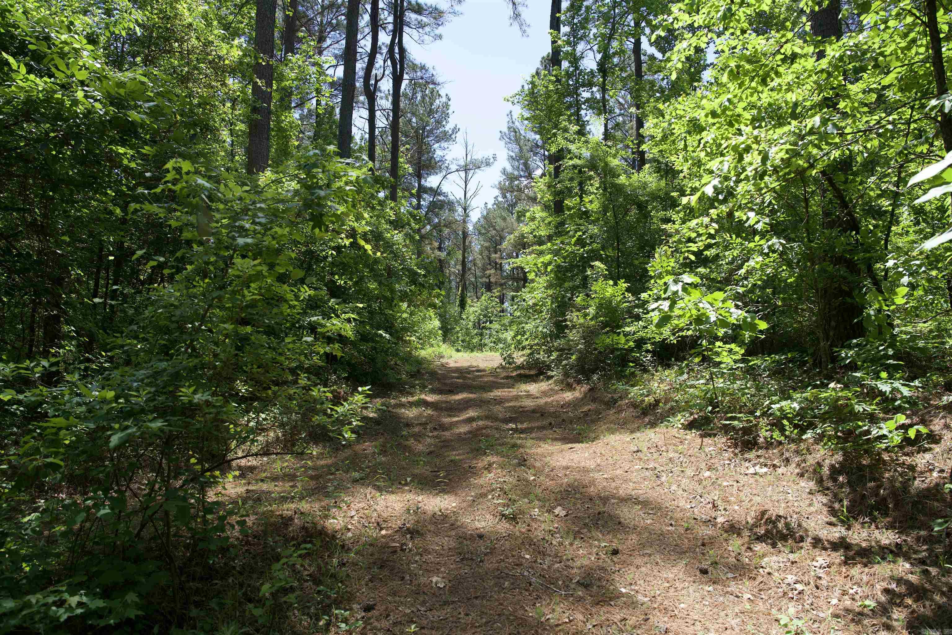 000 Obar Lane Property Photo 31