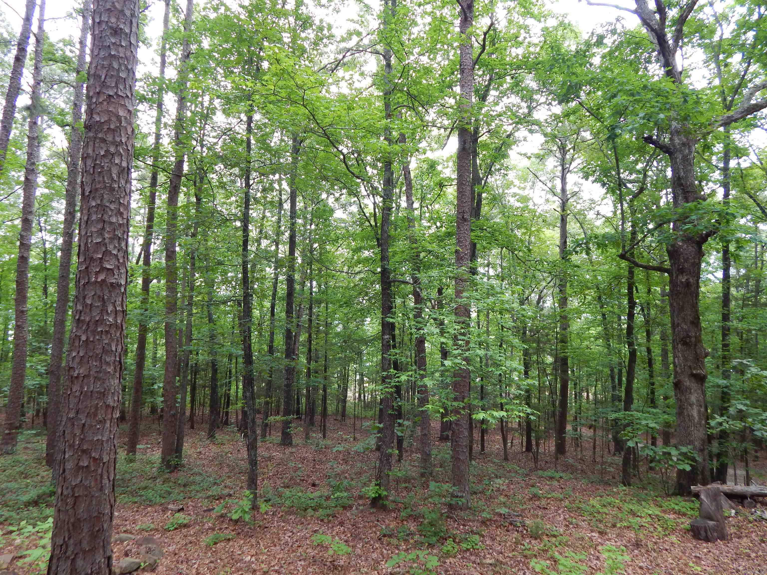 608 Hazel Property Photo 2
