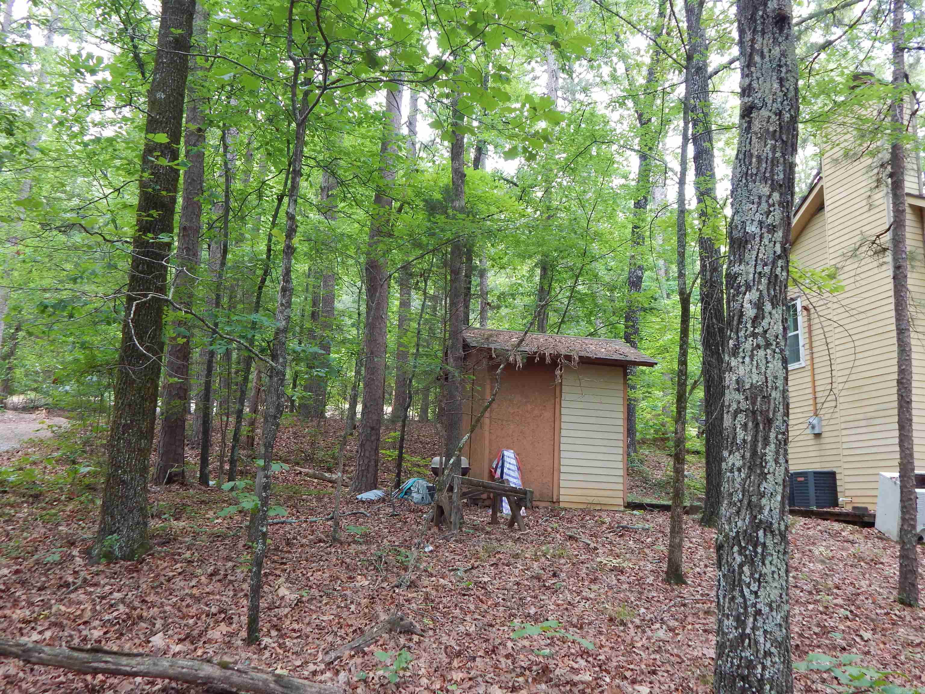 608 Hazel Property Photo 6