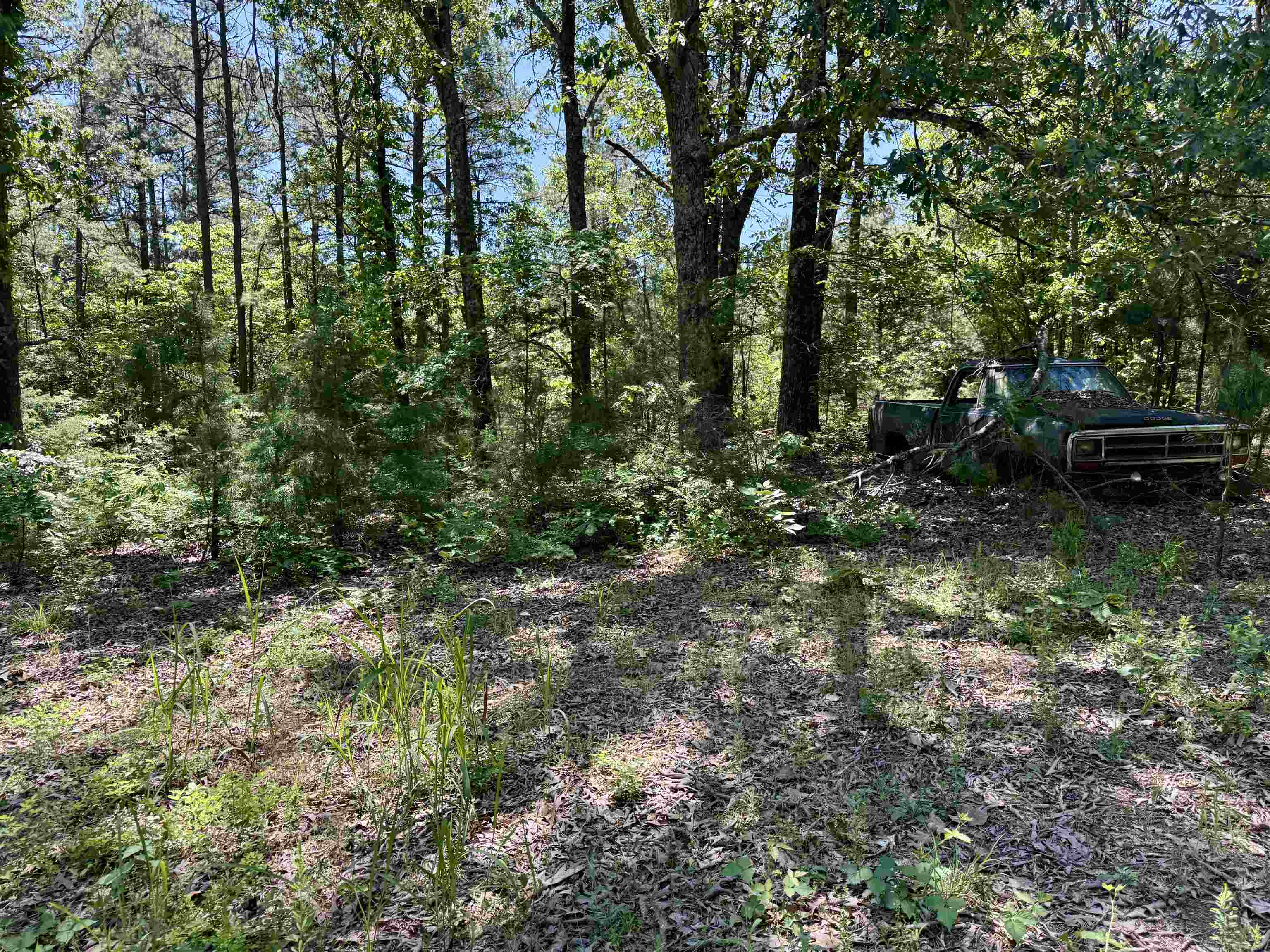 51 Herron Way Property Photo 11