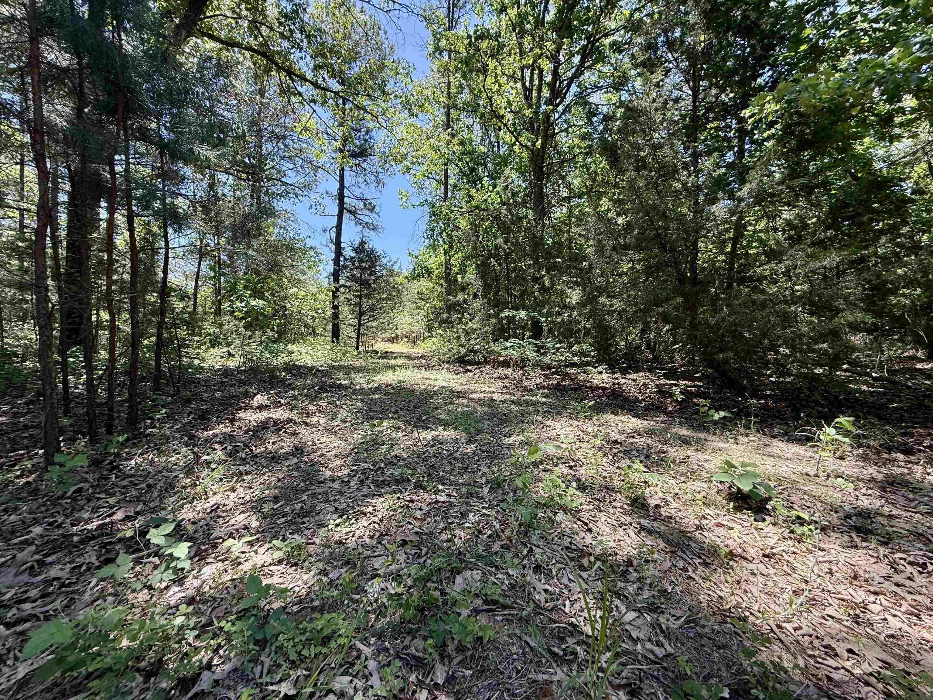 51 Herron Way Property Photo 13