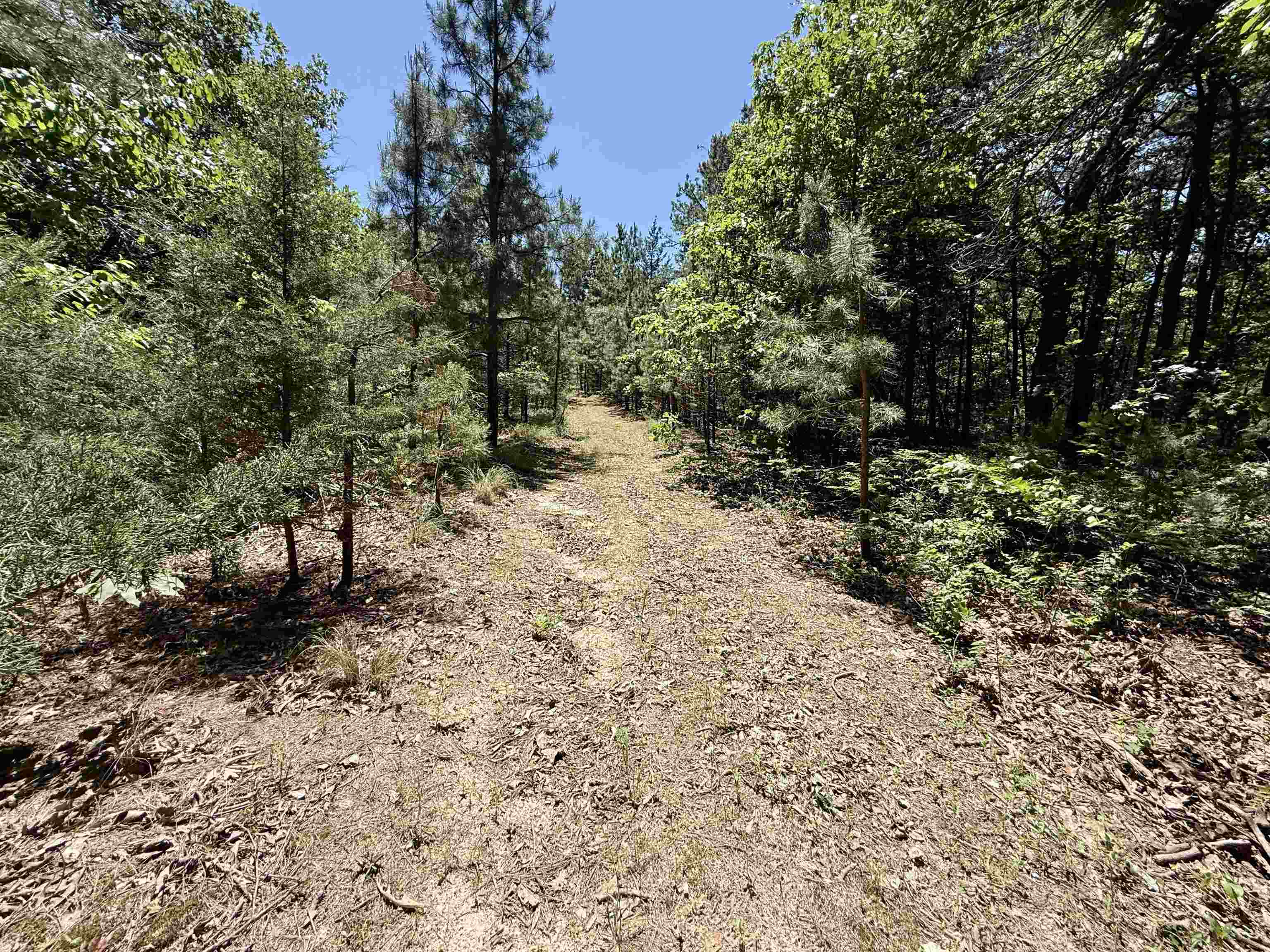 51 Herron Way Property Photo 15