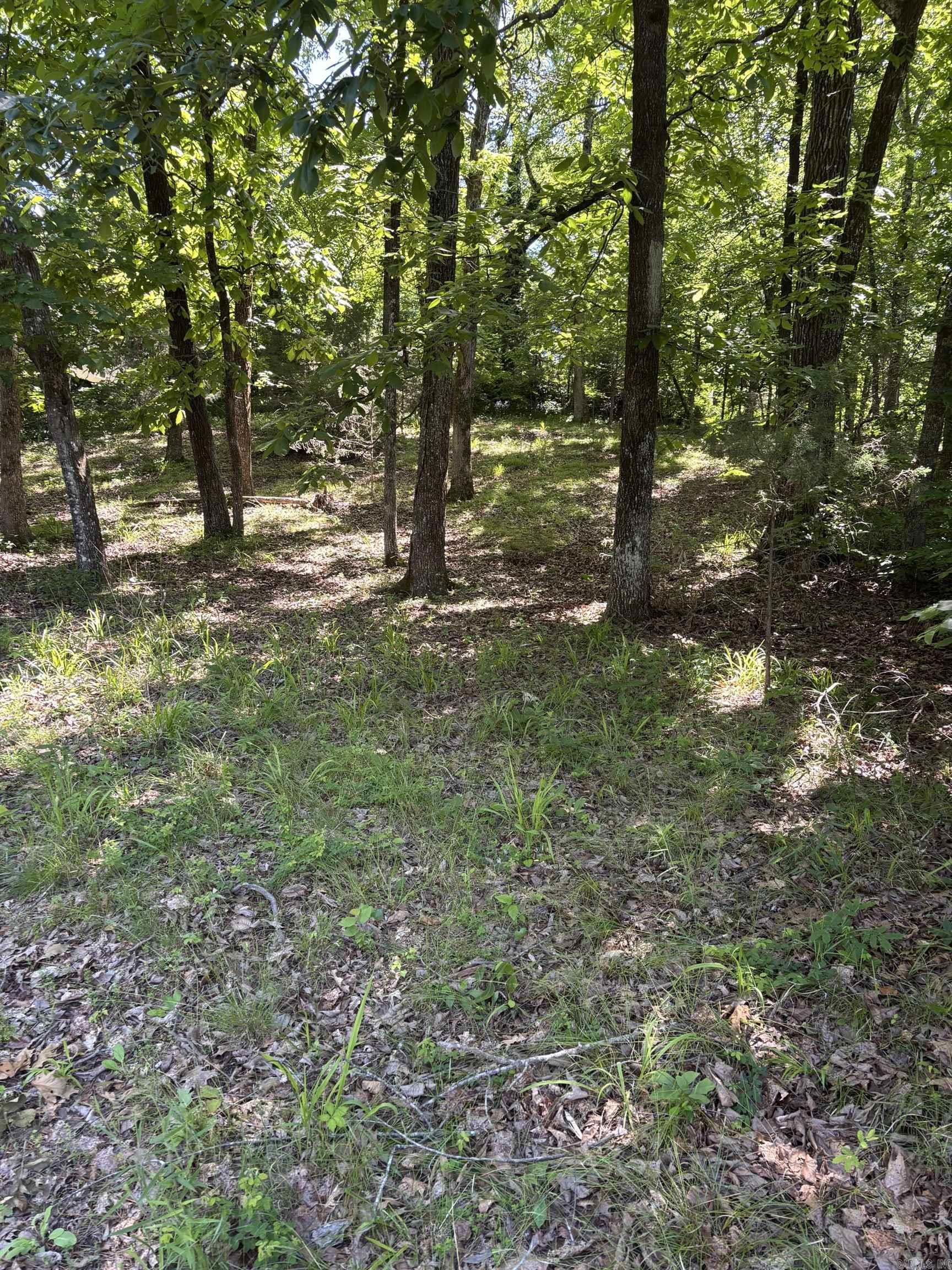 Tbd N Crystal Springs Road Property Photo 1
