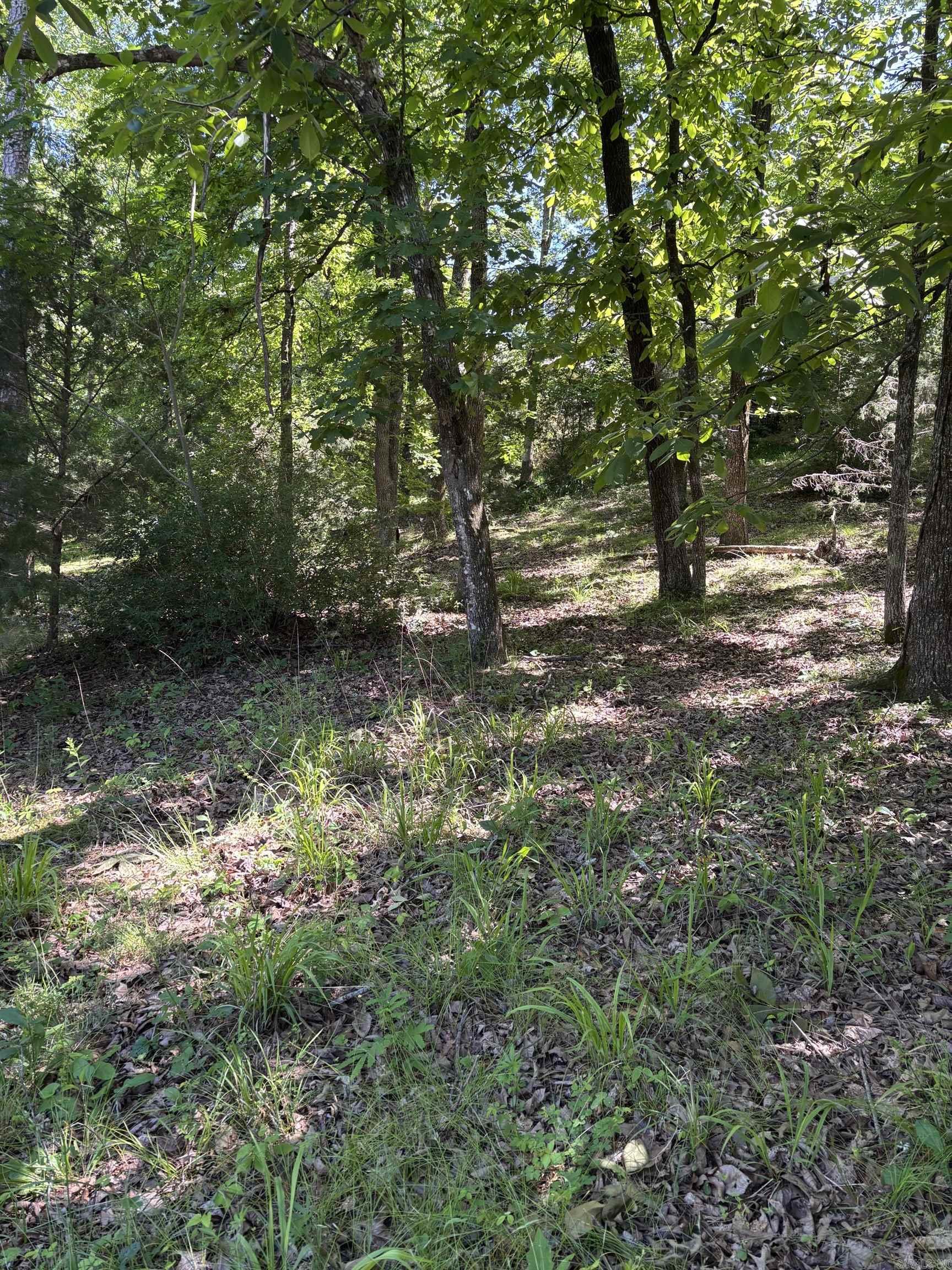 Tbd N Crystal Springs Road Property Photo 2