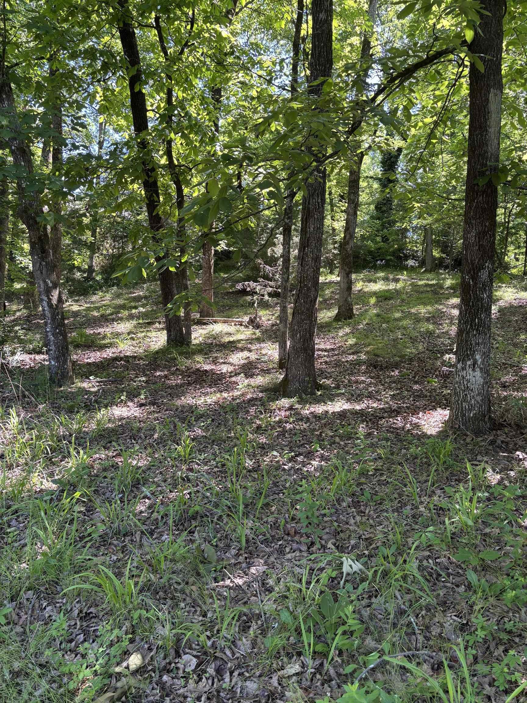 Tbd N Crystal Springs Road Property Photo 3