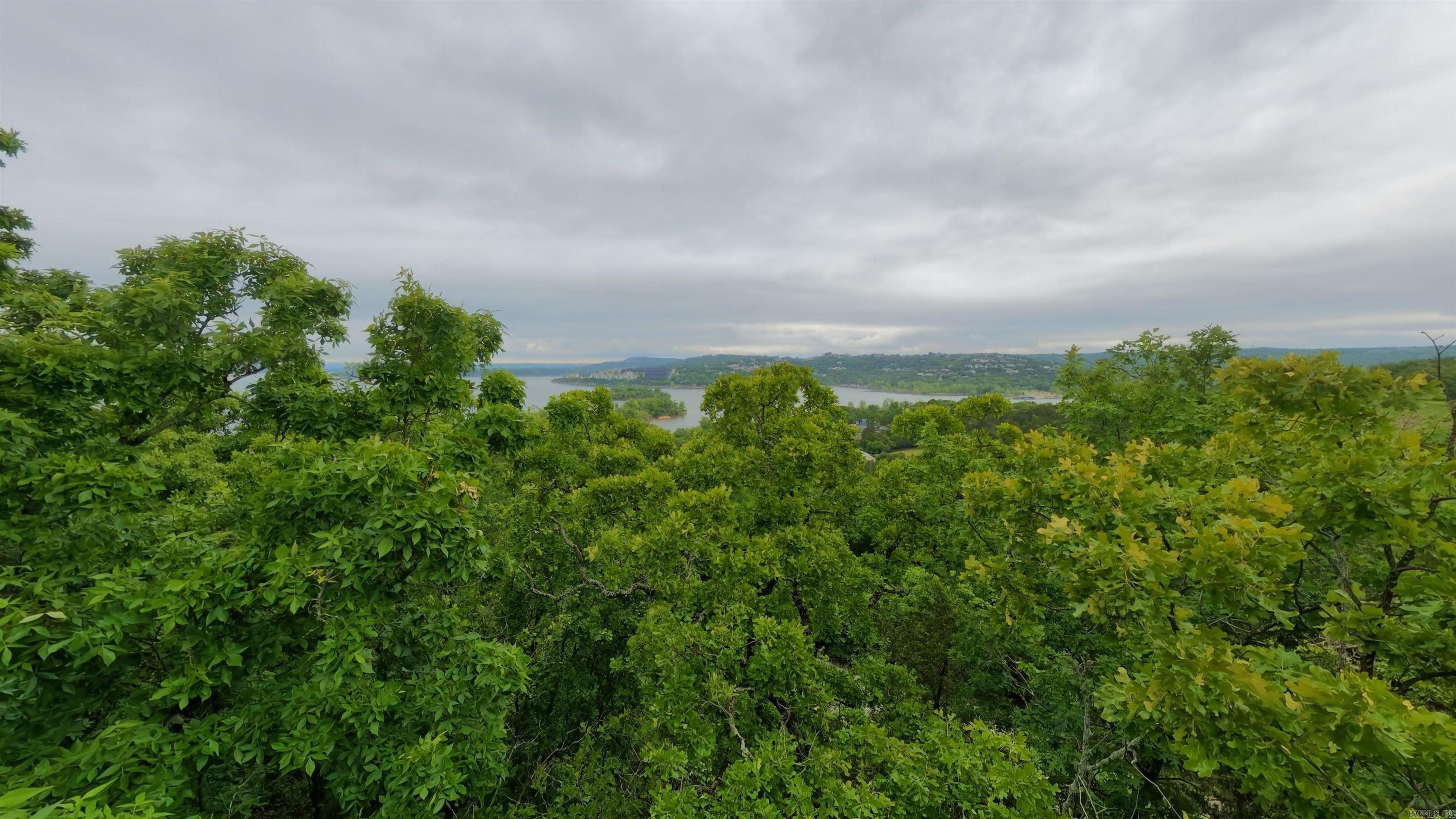 Tbd Mcmeen Drive Property Photo 8