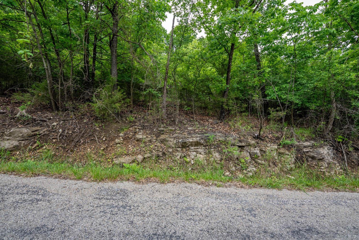 Tbd Mcmeen Drive Property Photo 13