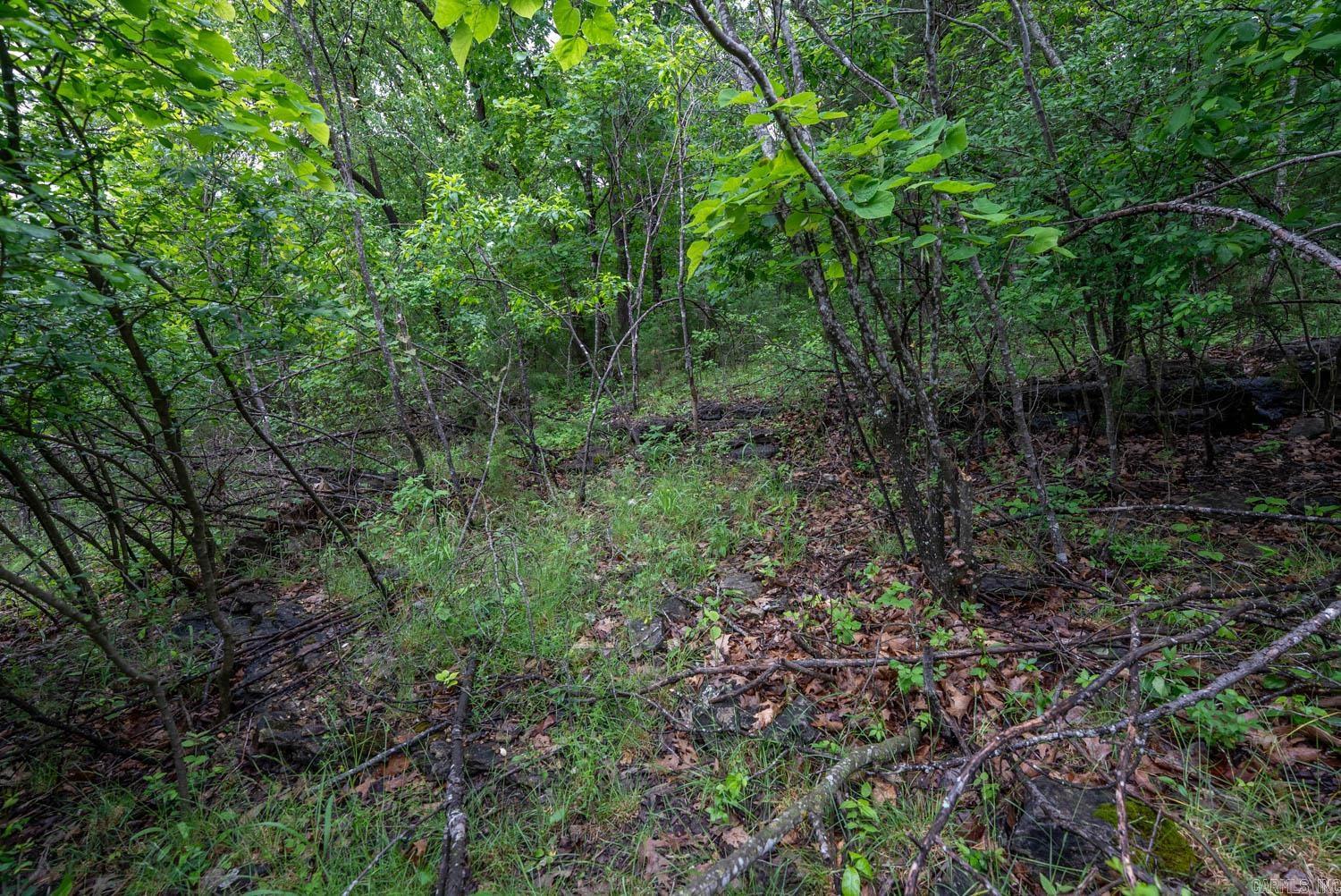 Tbd Mcmeen Drive Property Photo 17