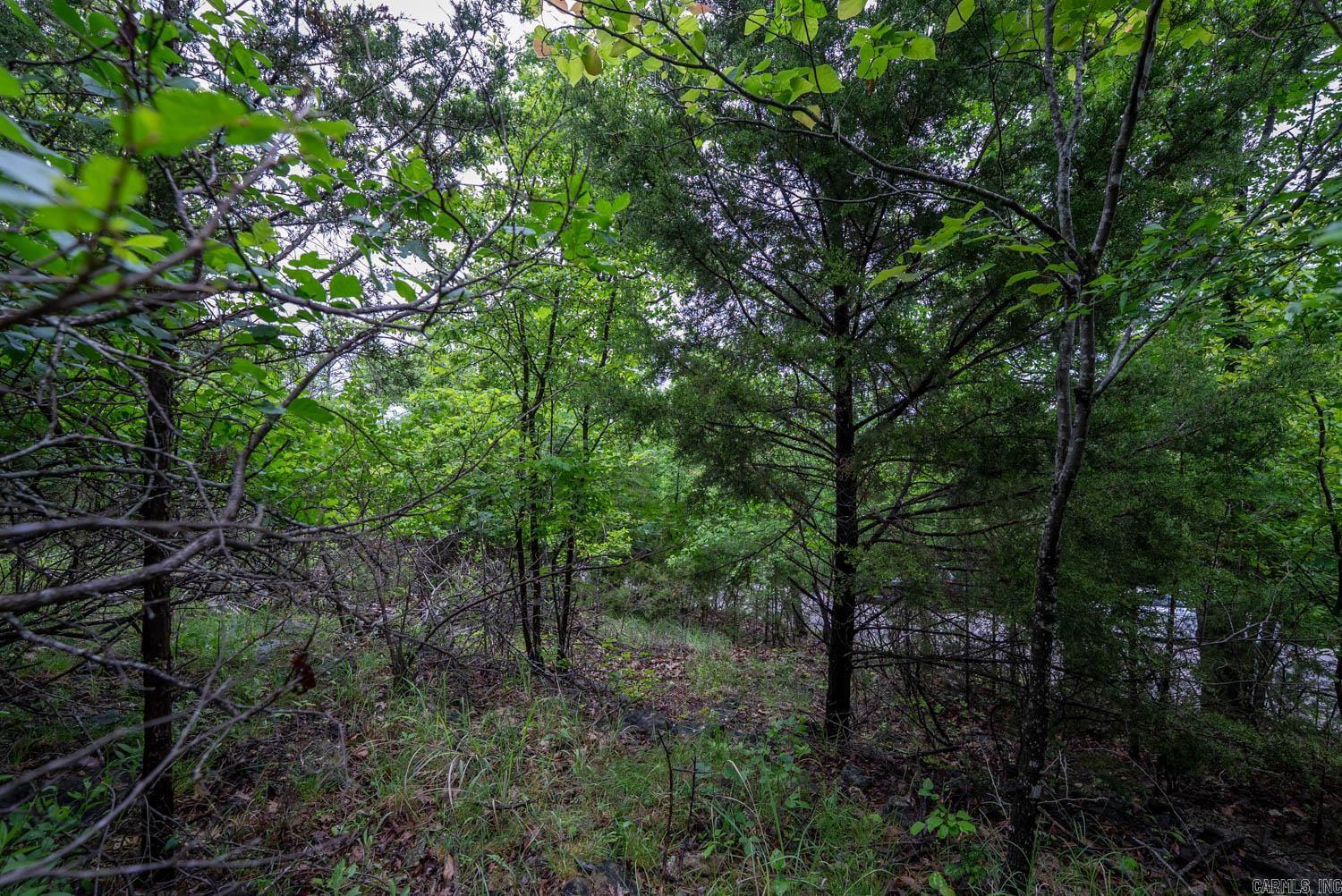 Tbd Mcmeen Drive Property Photo 18
