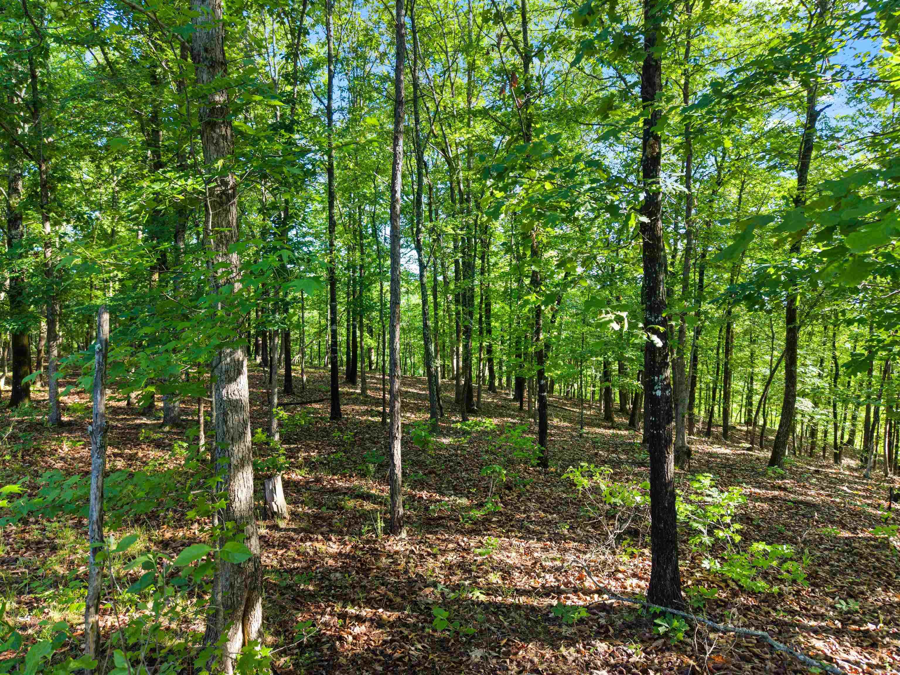 500 Rynders Property Photo 18