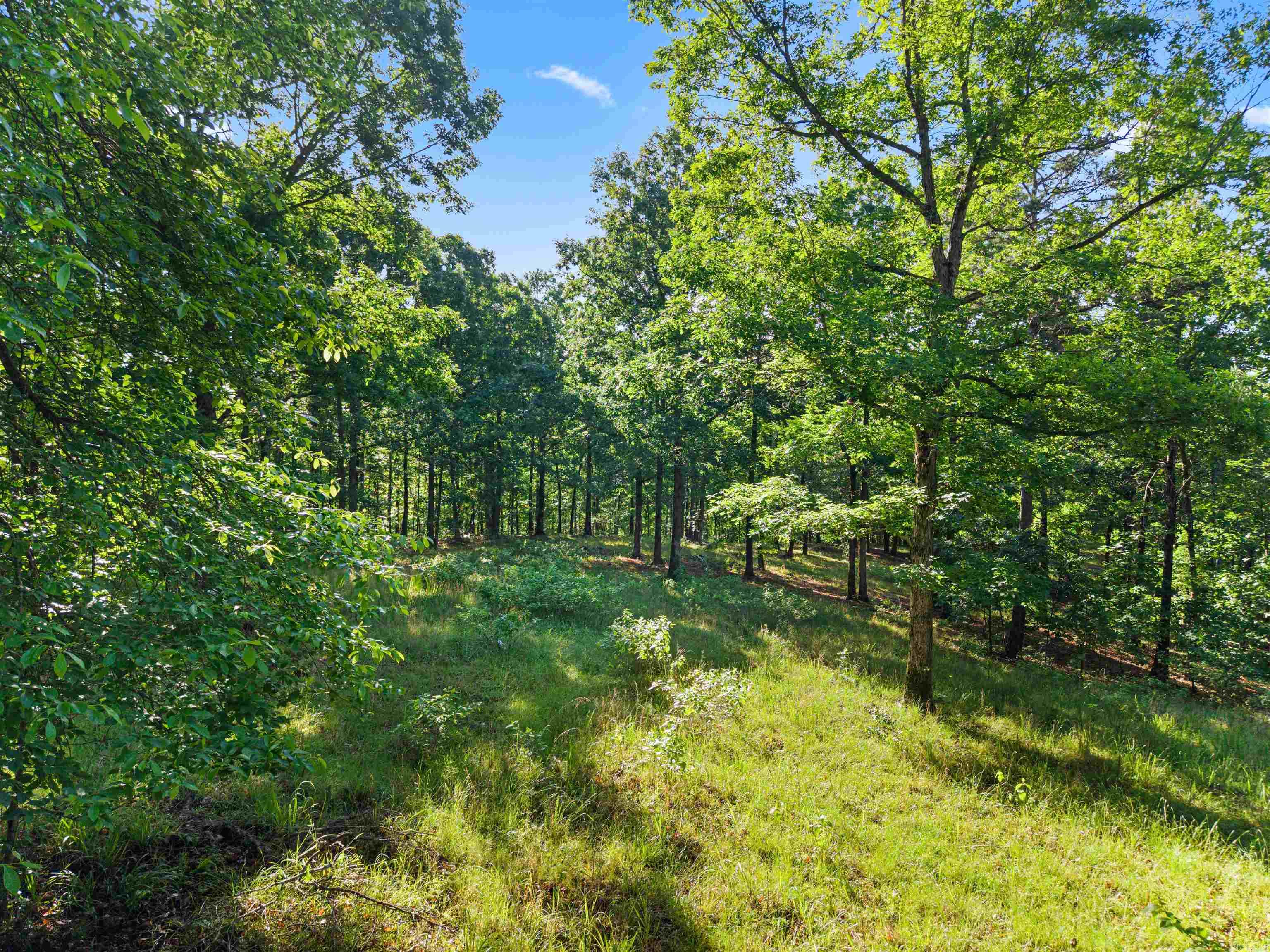 500 Rynders Property Photo 19