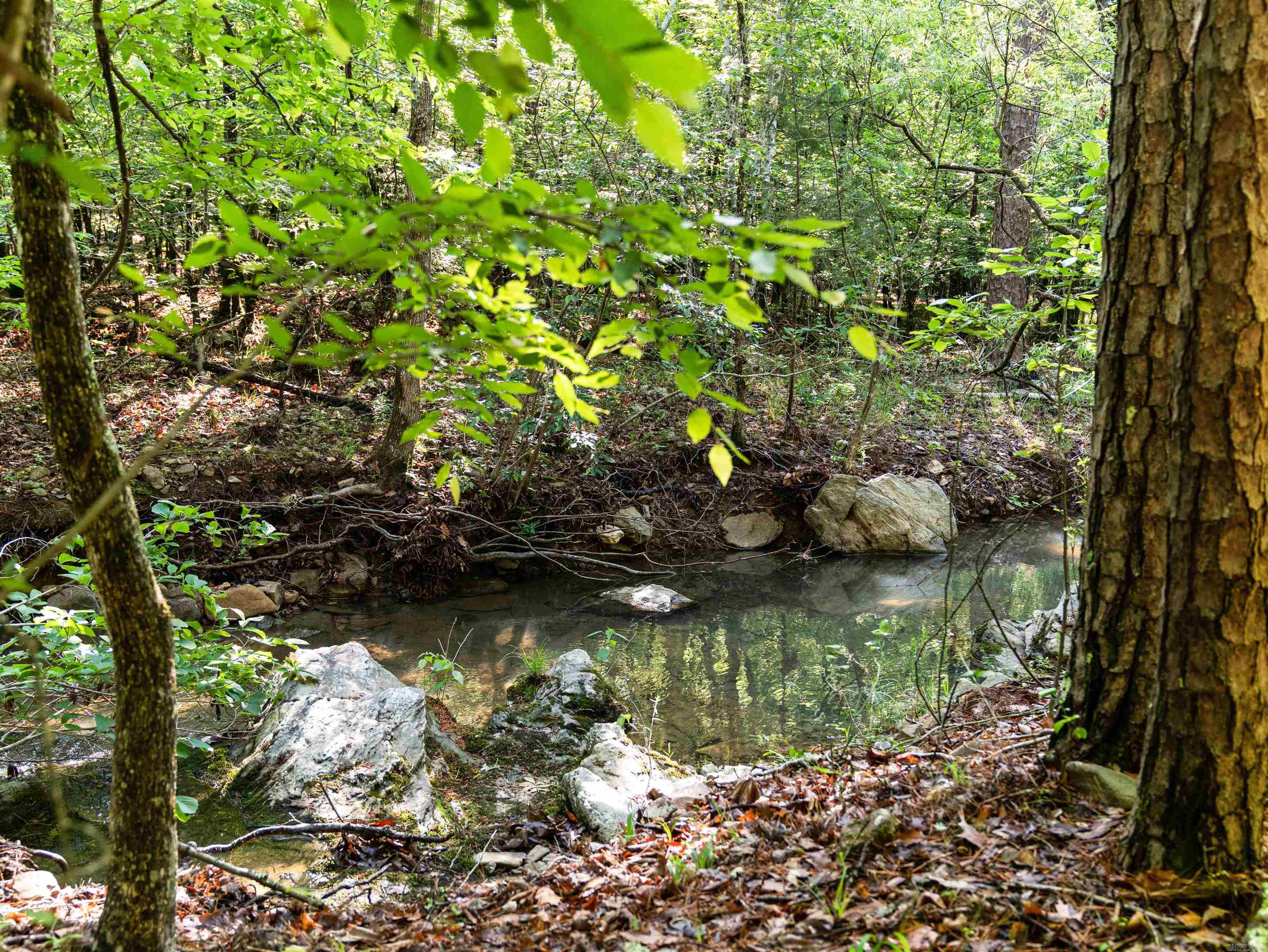 500 Rynders Property Photo 47