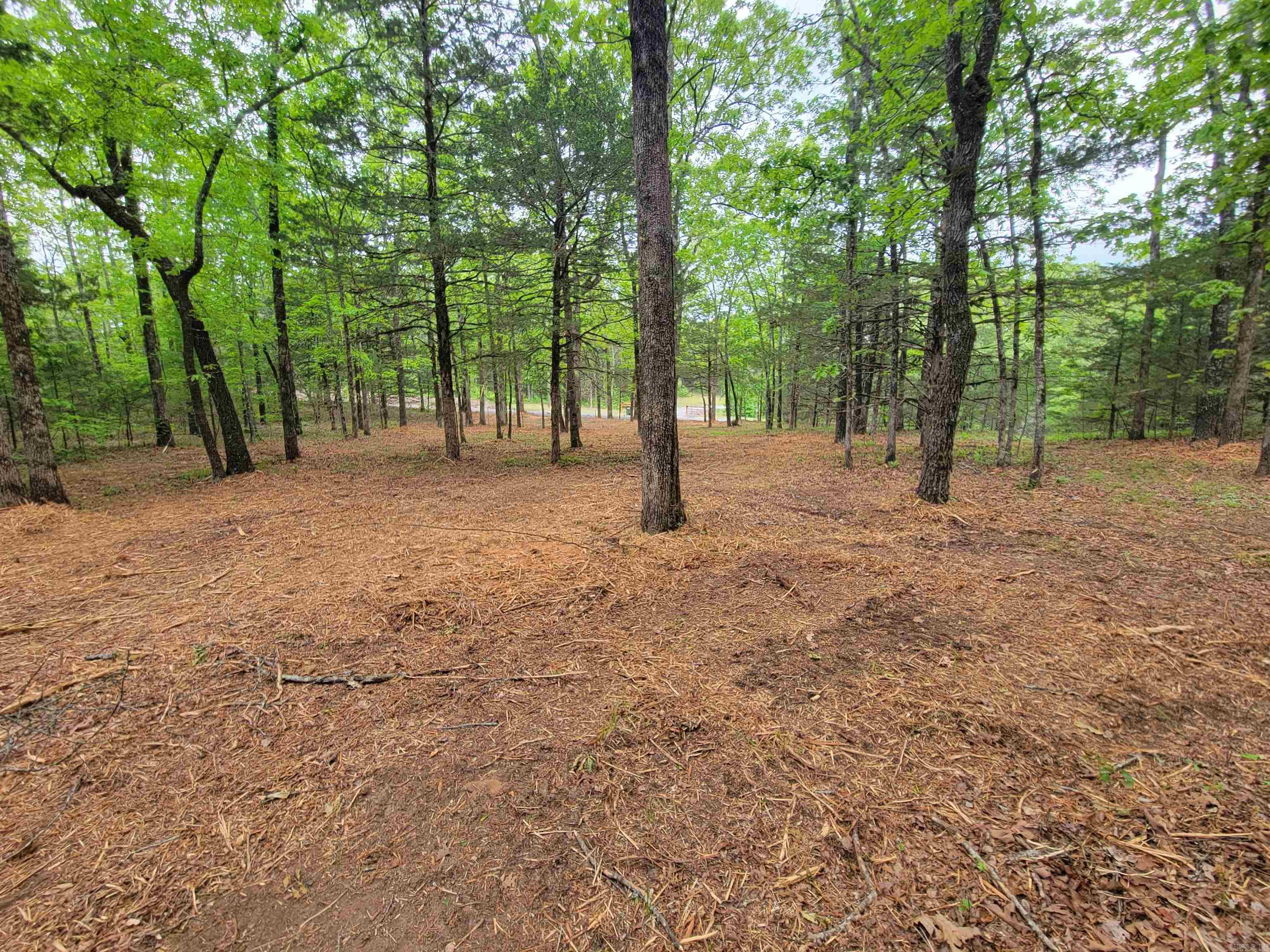 00 Mcnew Cemetery Road Property Photo 1