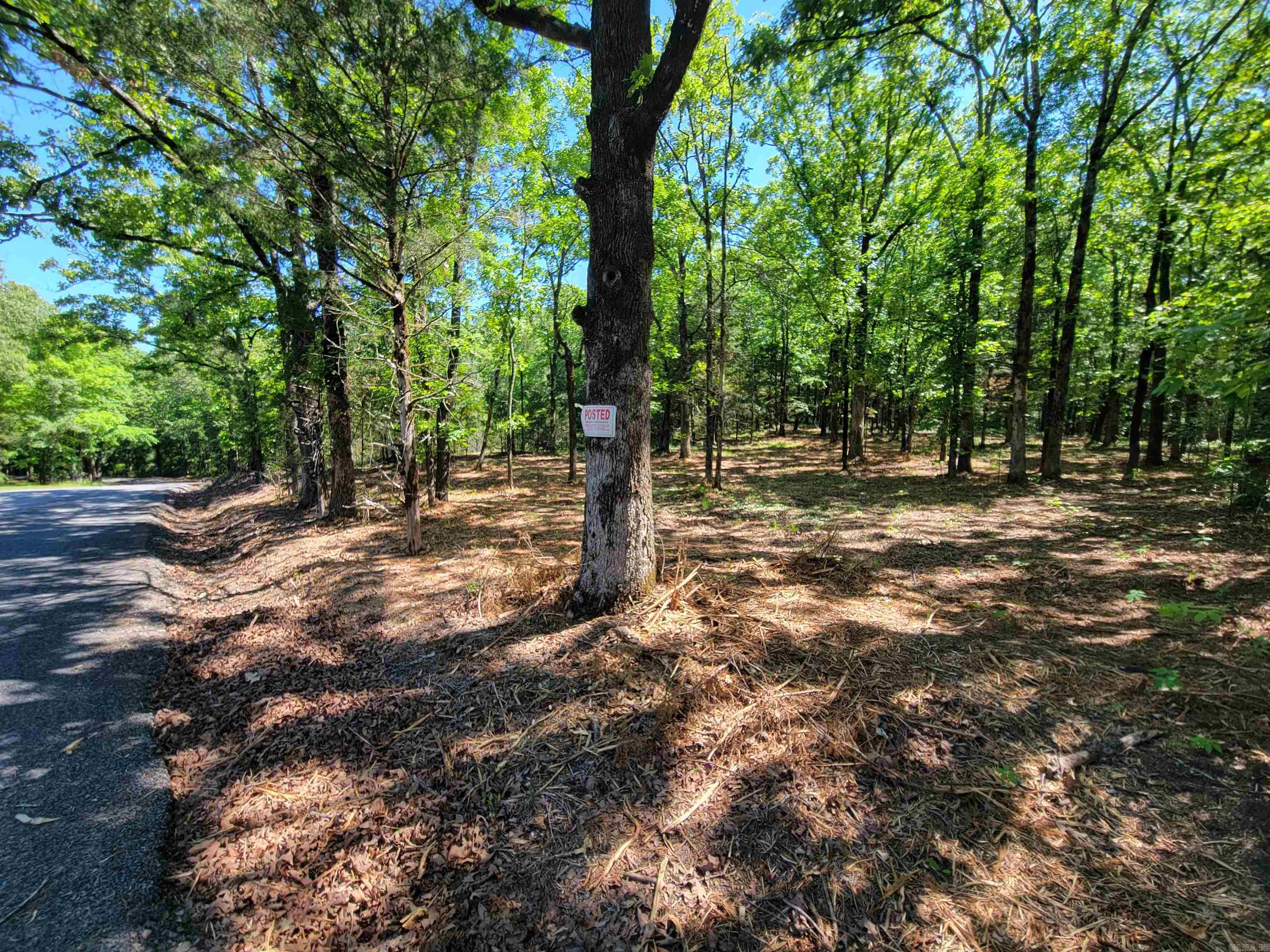 00 Mcnew Cemetery Road Property Photo 3