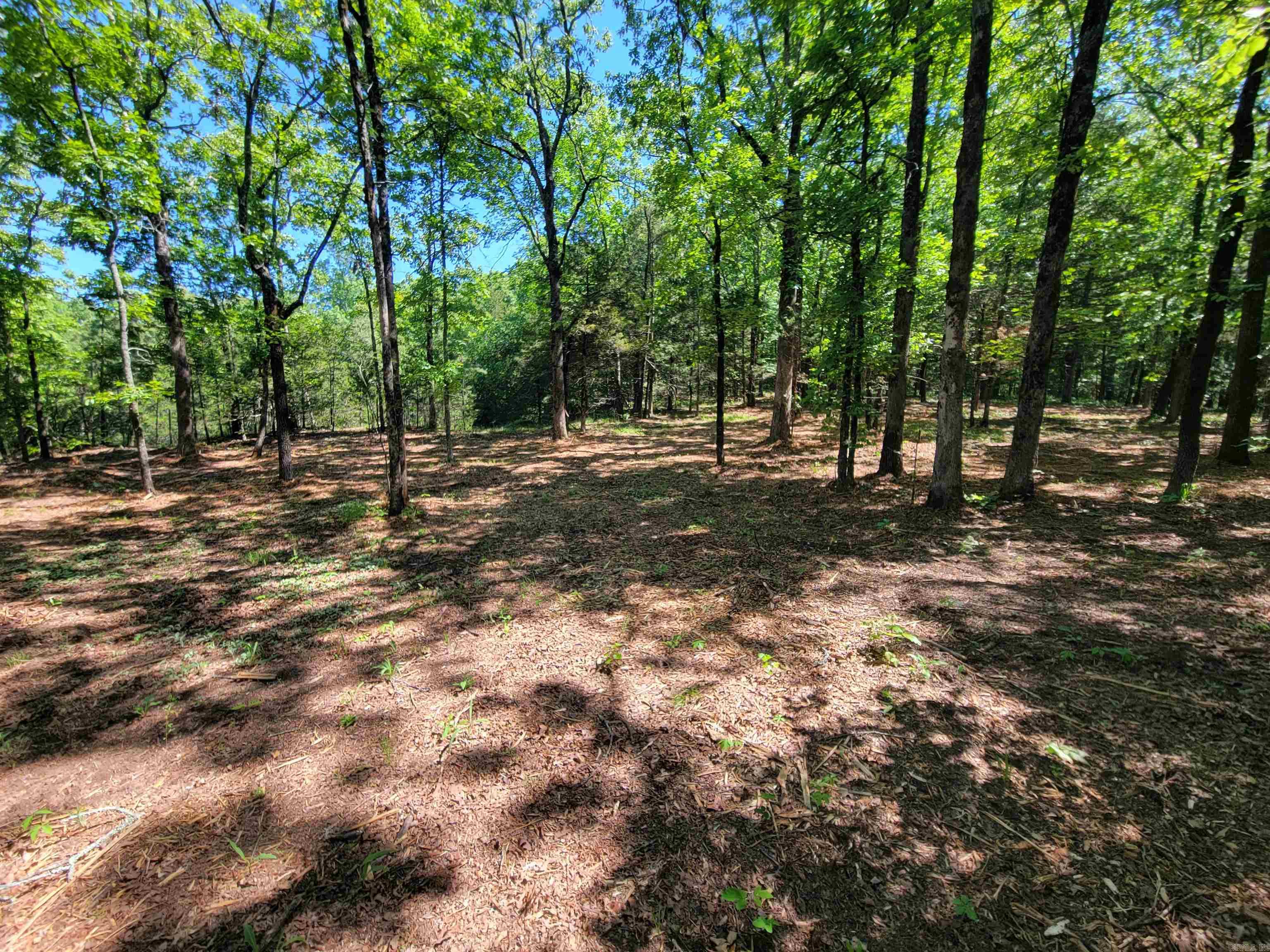 00 Mcnew Cemetery Road Property Photo 4