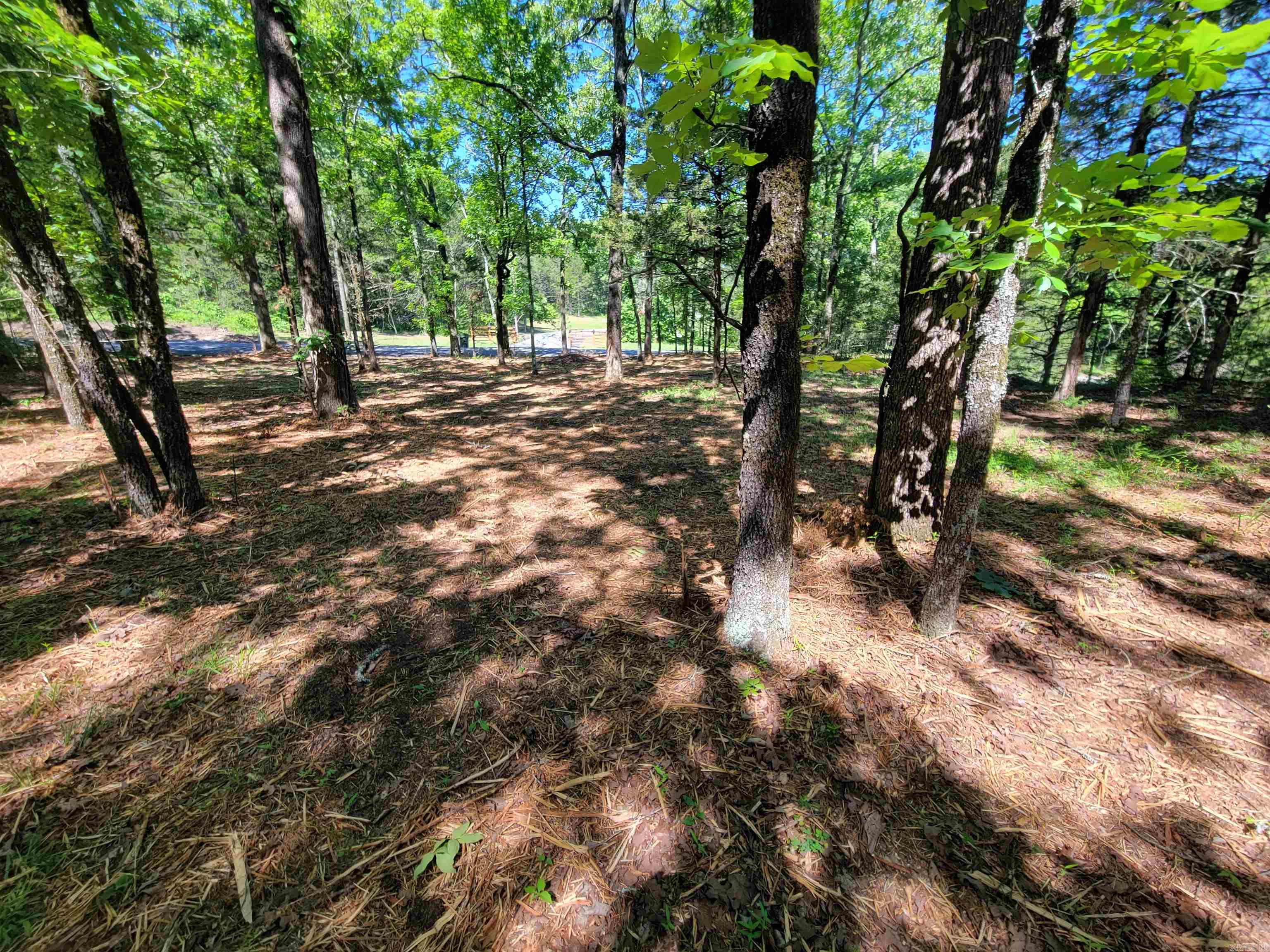 00 Mcnew Cemetery Road Property Photo 5